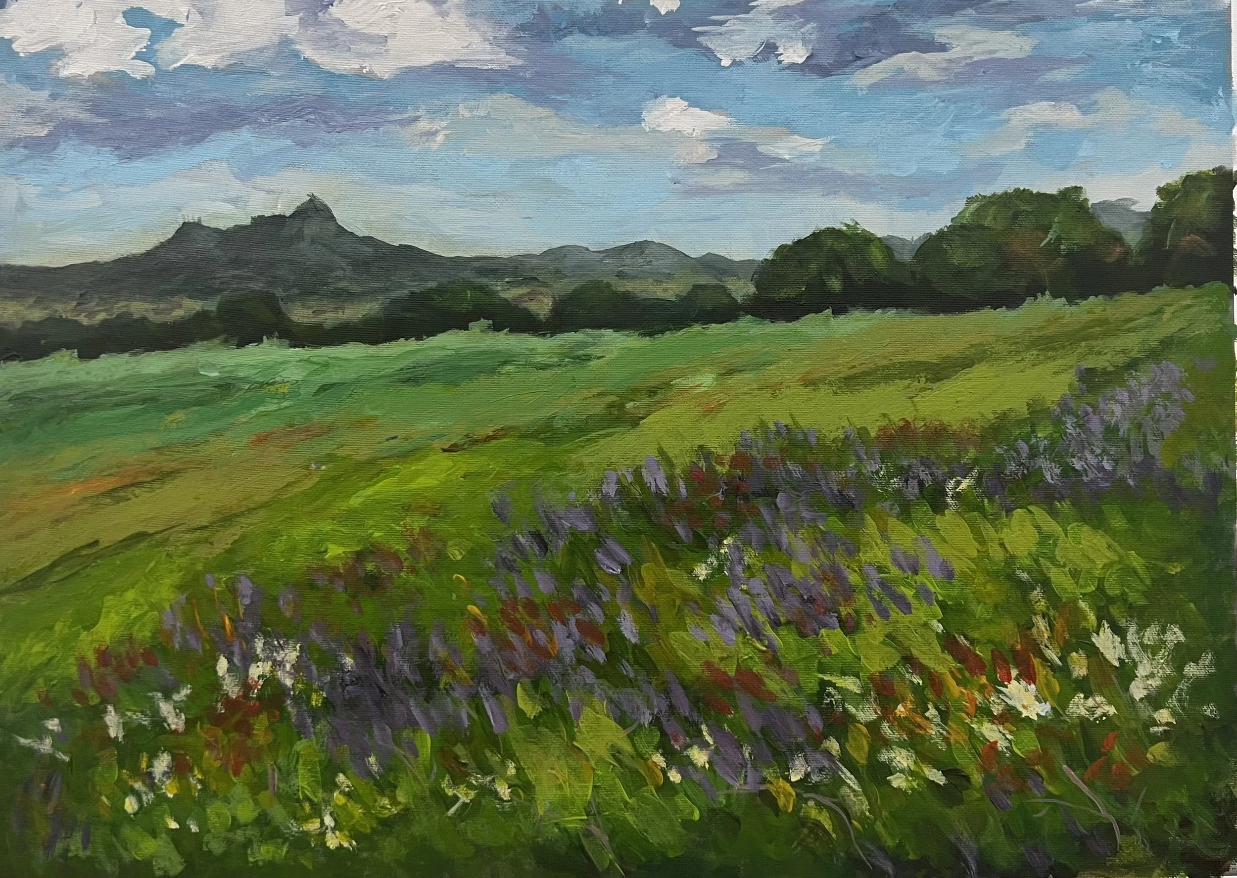 Mountains of Andulusia (Painting - 15" x 20" x 0.2" - $200 CAD - Canada) Shazia Yousaf
