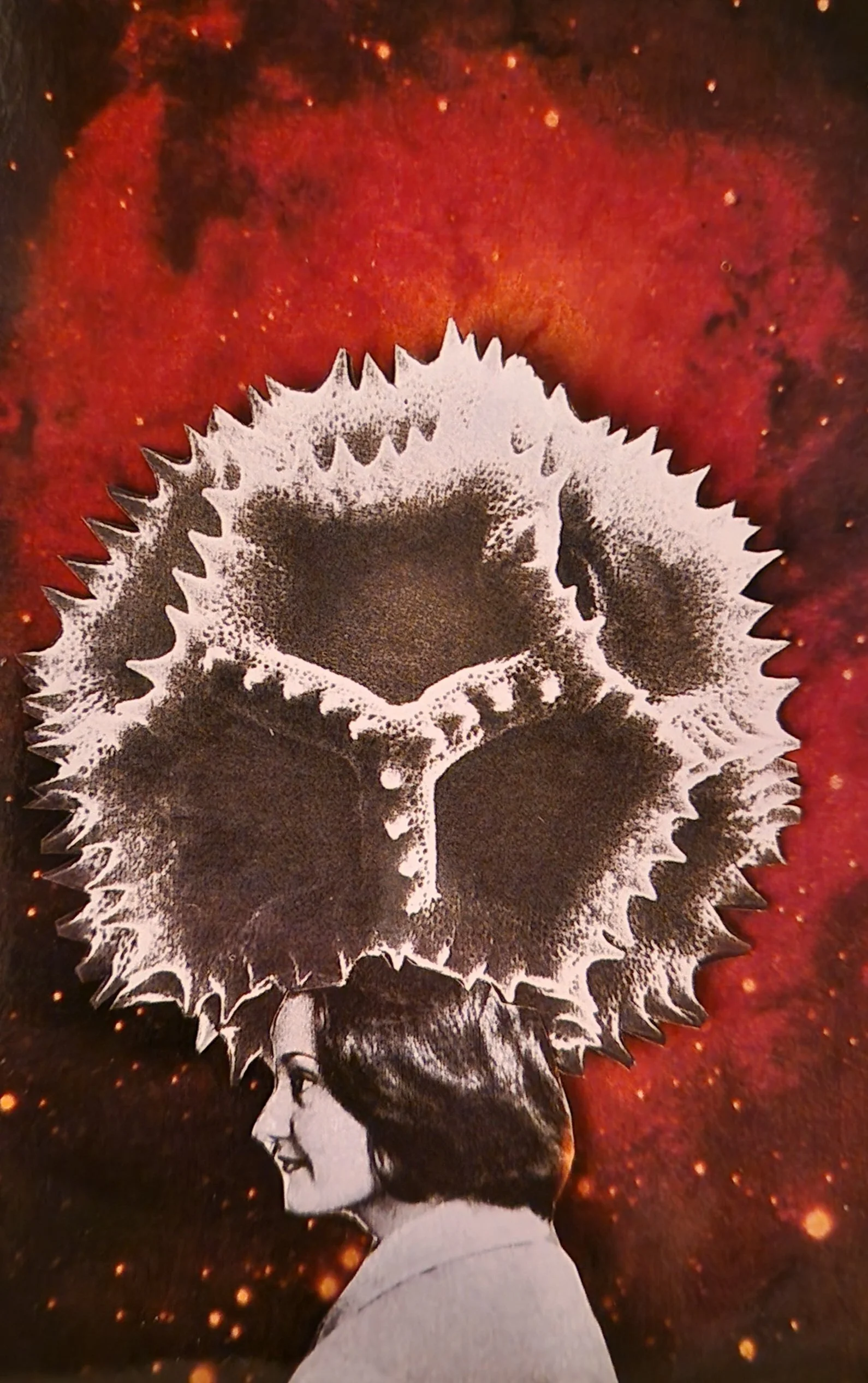 Pollen (Photography - ca 10 x 12 - Sweden) Helen Tak