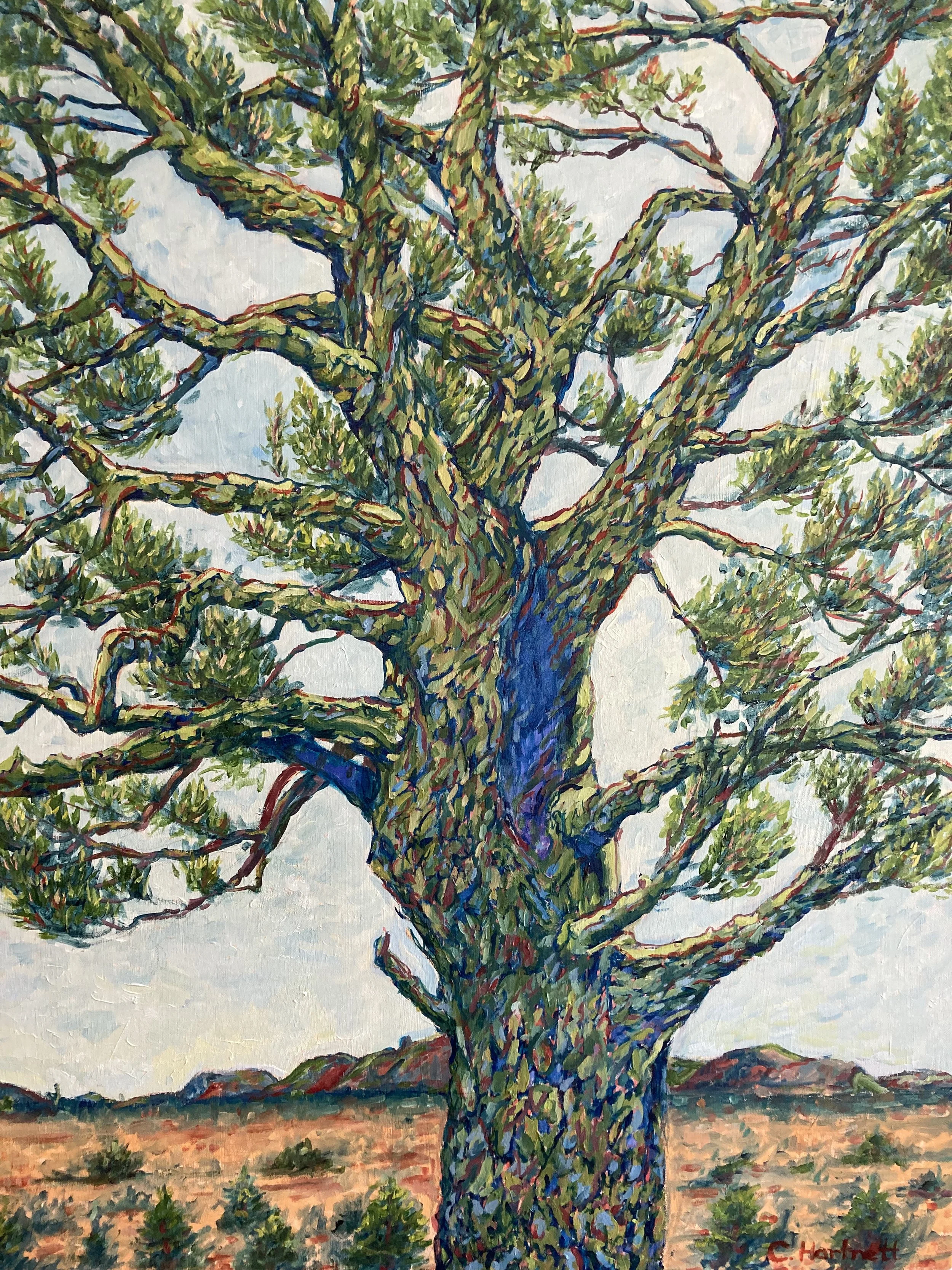 Pinyon Tree #2 (Painting - 30" x 24" x 1.5" - $1500 USD - USA) Cheryl Hartnett
