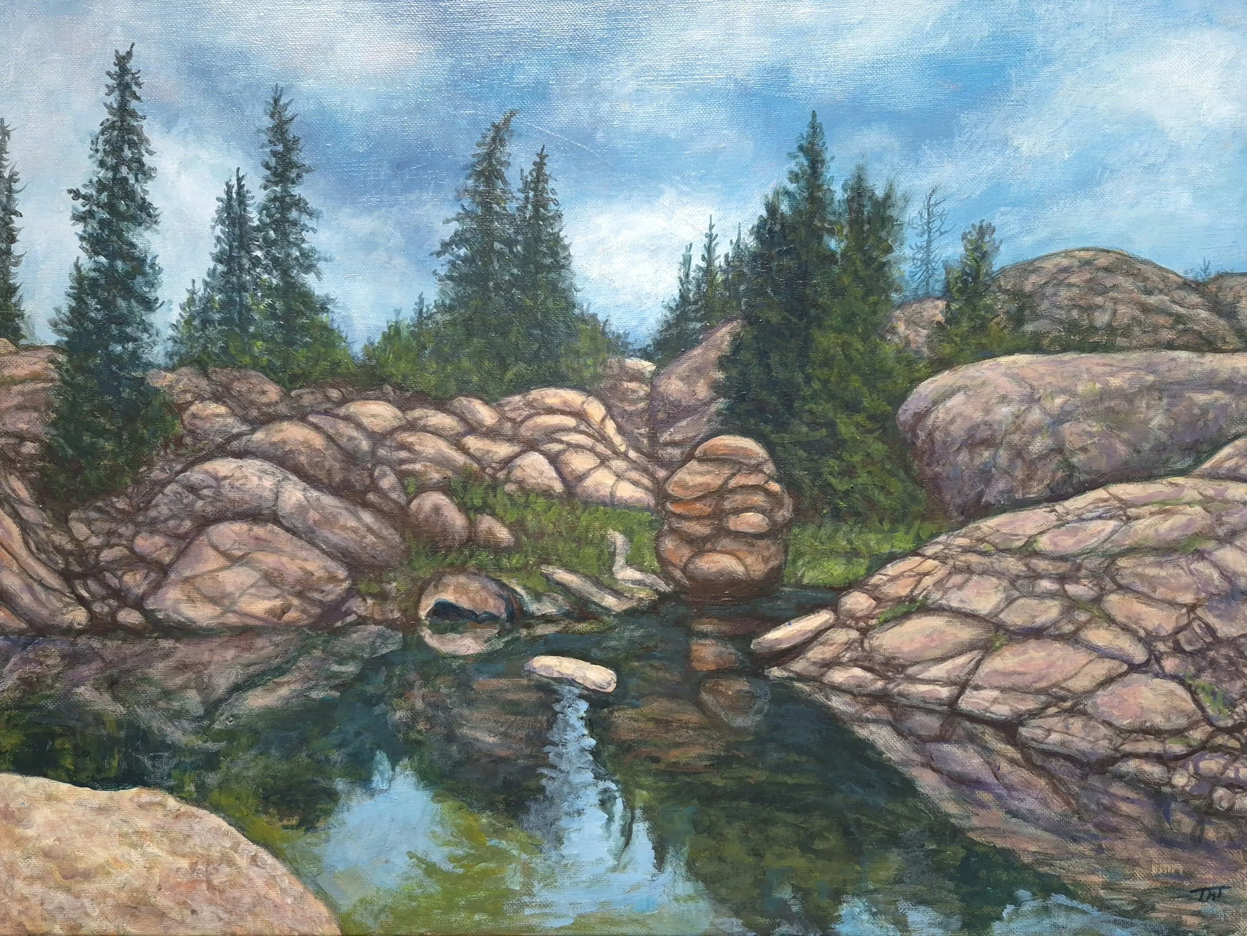 Canadian Shield (Painting - $1050 - 18 in x 24 in x 0.5 in) - Teresa Young