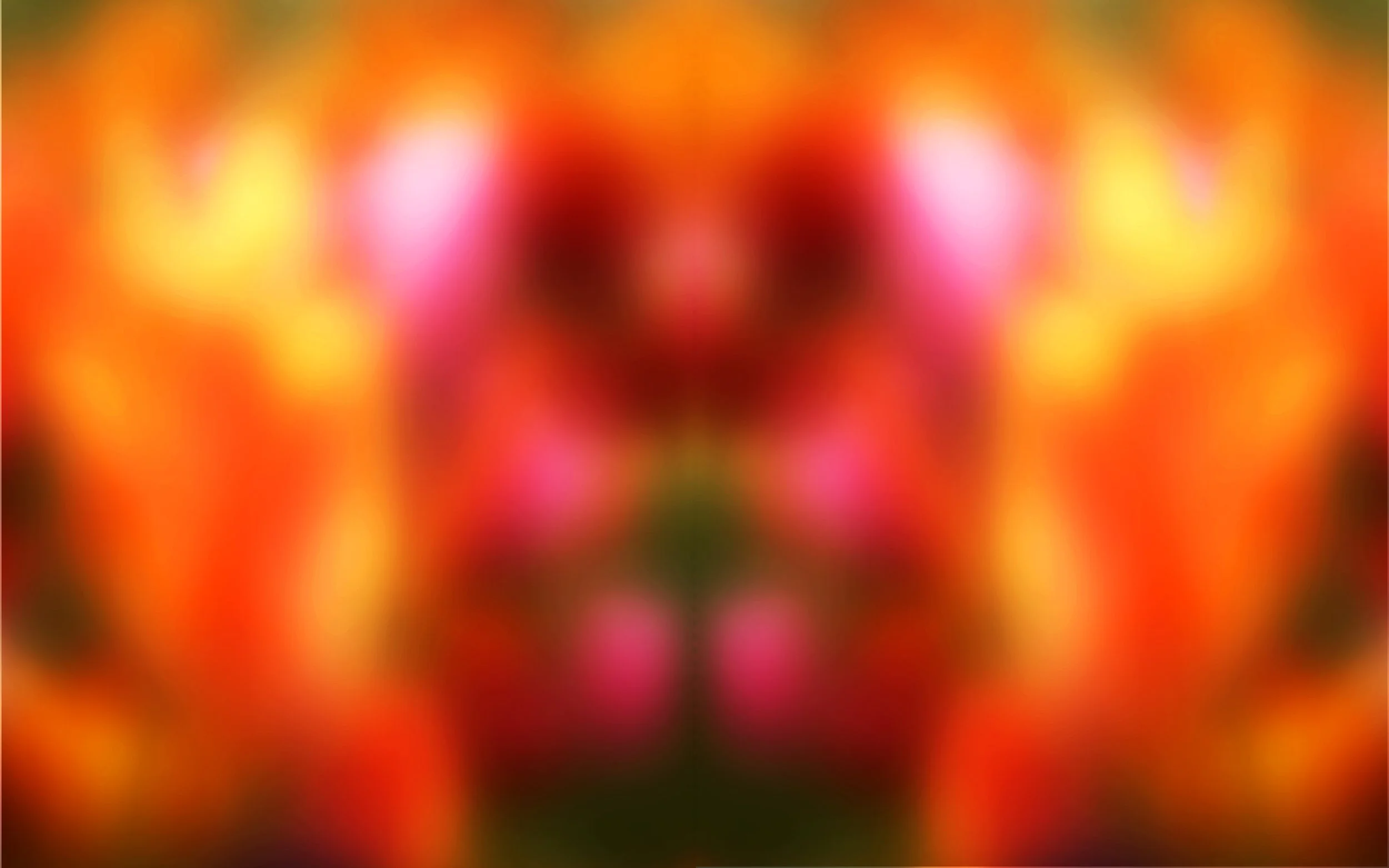 Sureal (Photography - 16" x 20"  - $150 CAD (Canadian Shipping Extra) - Canada) John Pingree