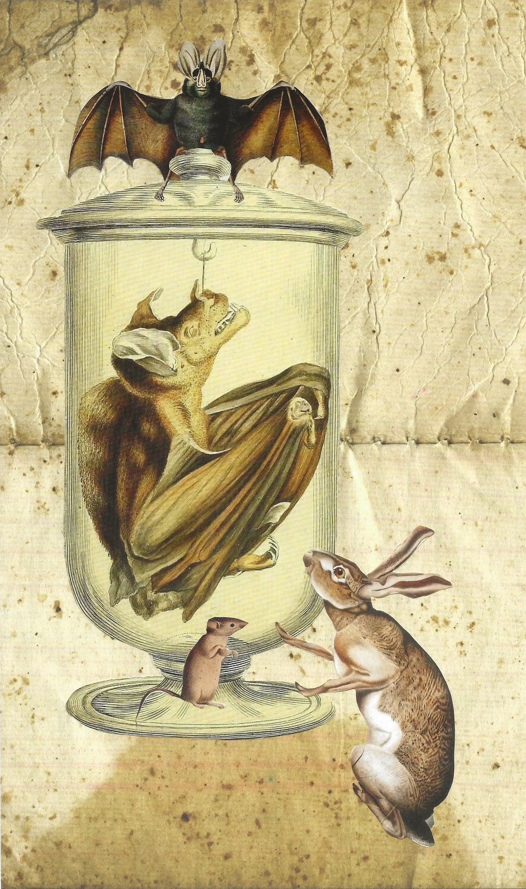 The Jar (Unique Medium - 6" x 10" - USA) MaryHope Lee