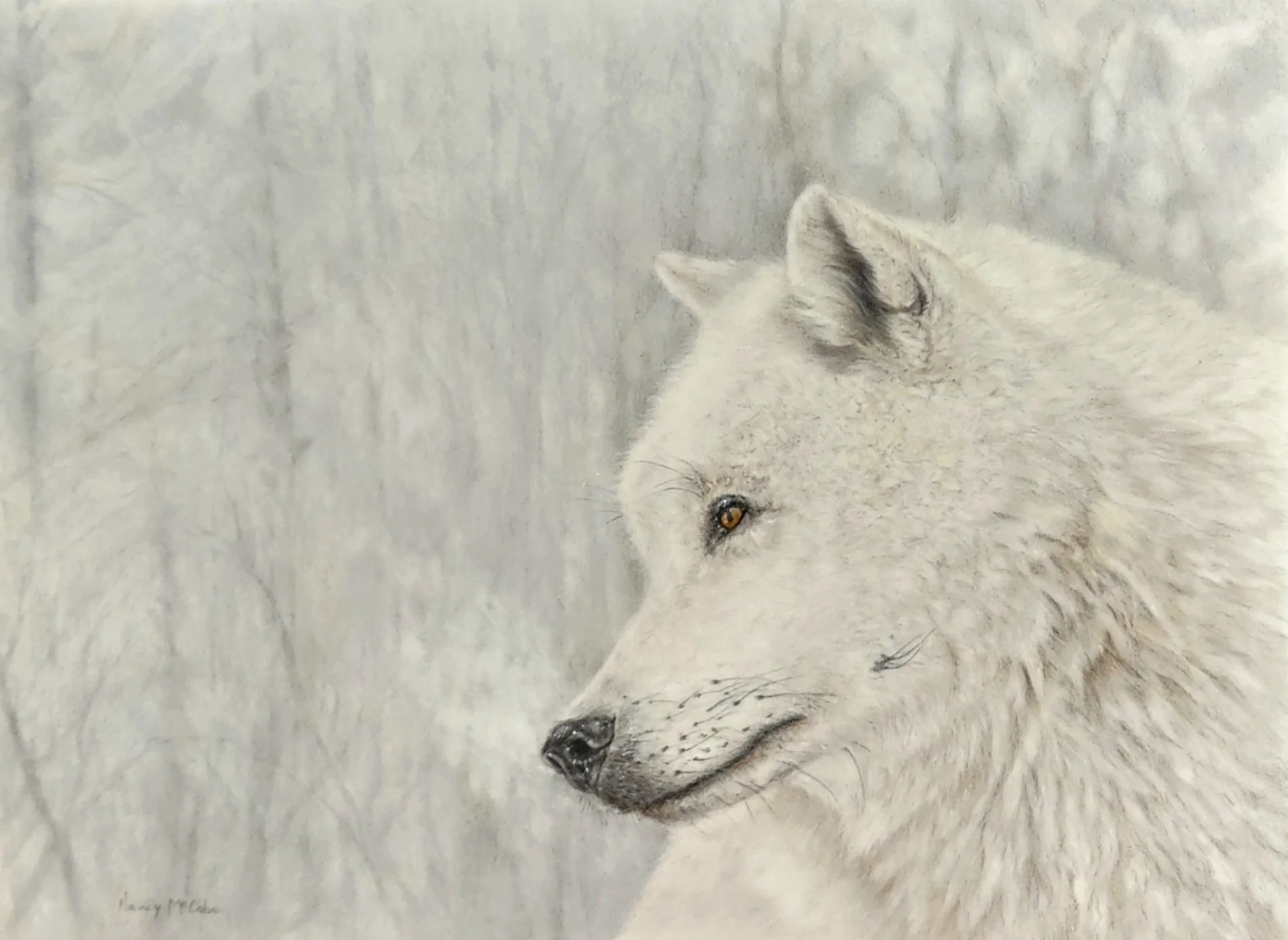White Wolf (Drawing - $750 - 11" h x14" w) - Nancy McCabe