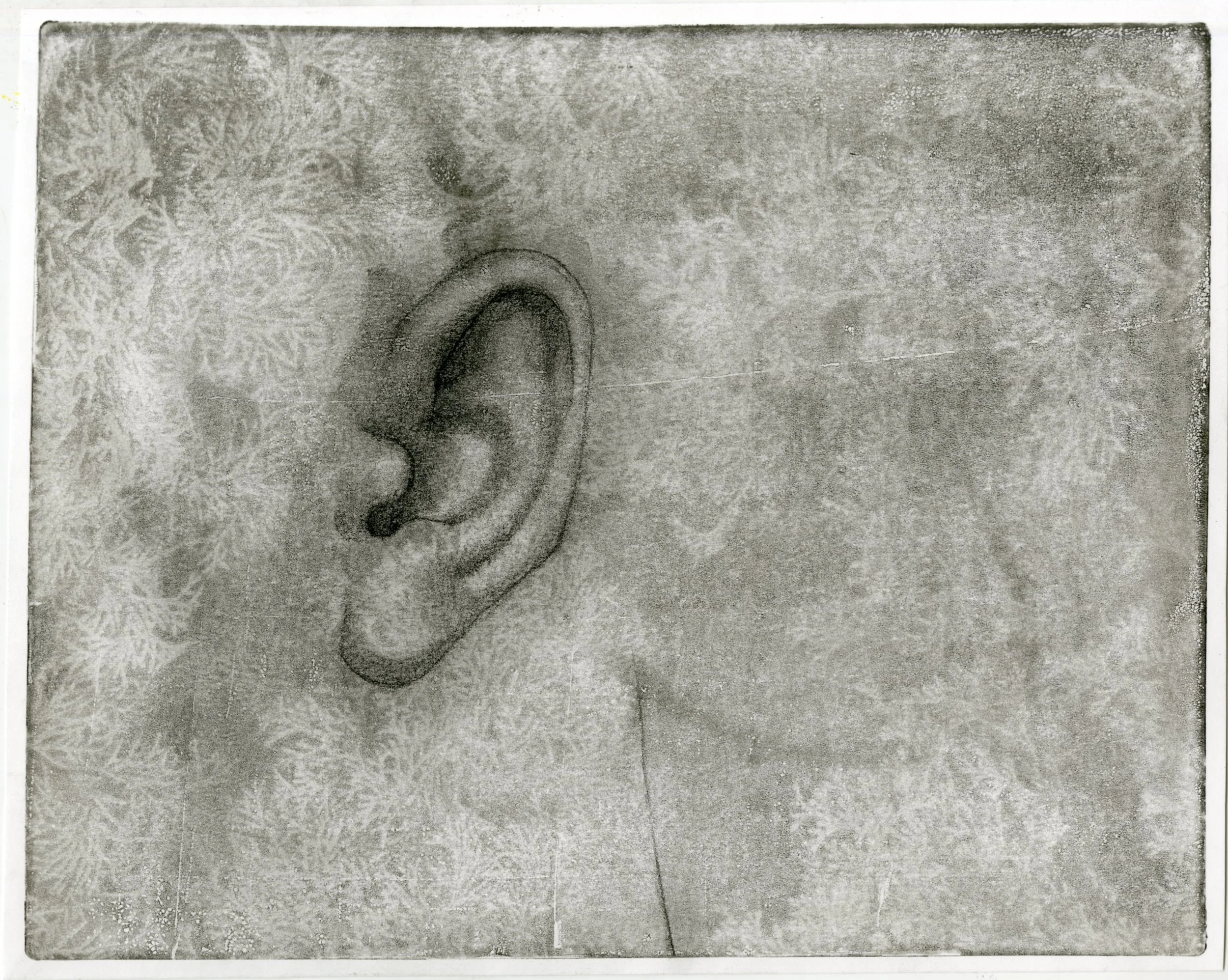Ear/Forest (Unique Medium - 0.7*1 in - China) - Diqiu Wang