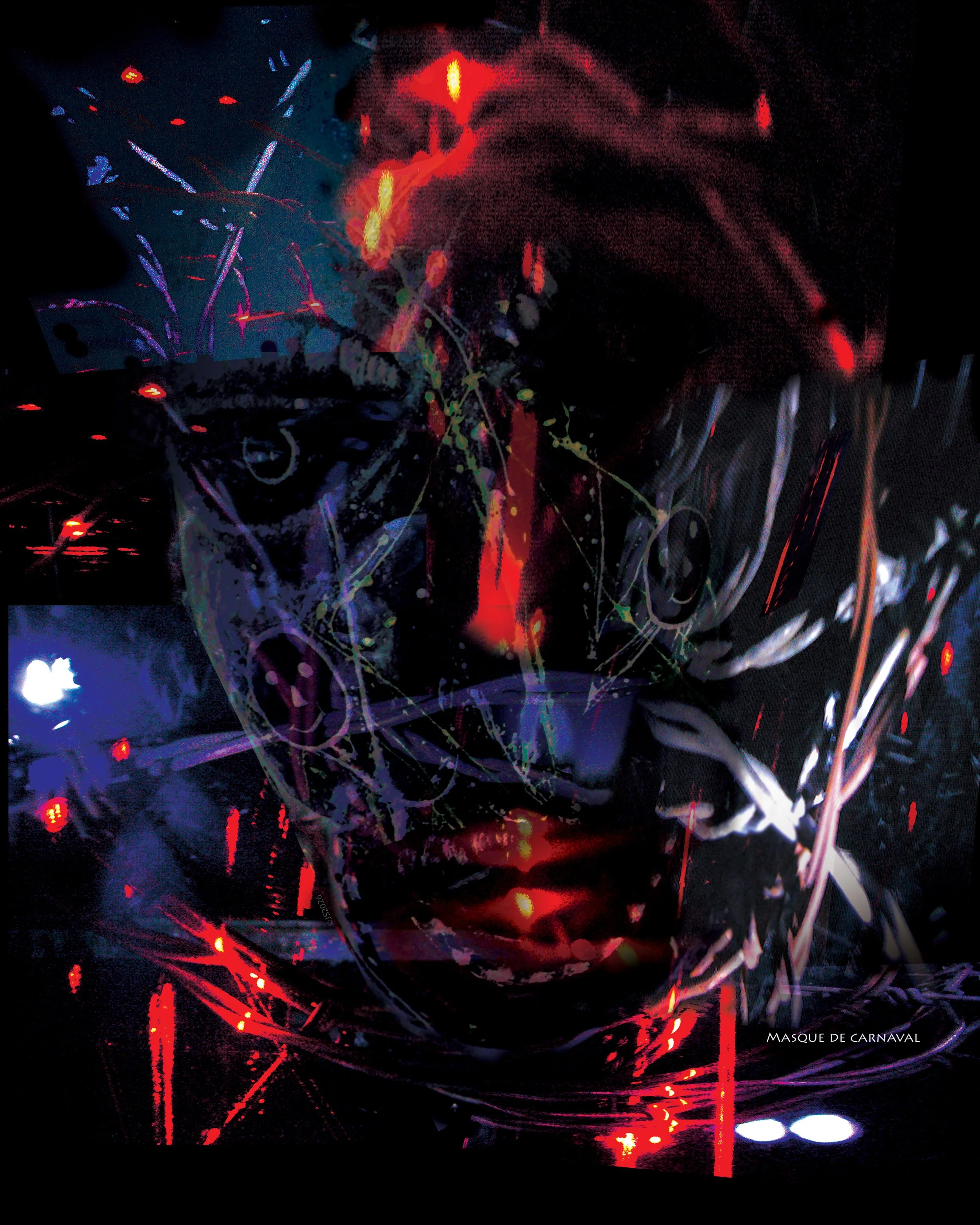 Masque de carnaval (Photography - $3000 - 20 x 16 x 0.5) - Jonny Silver