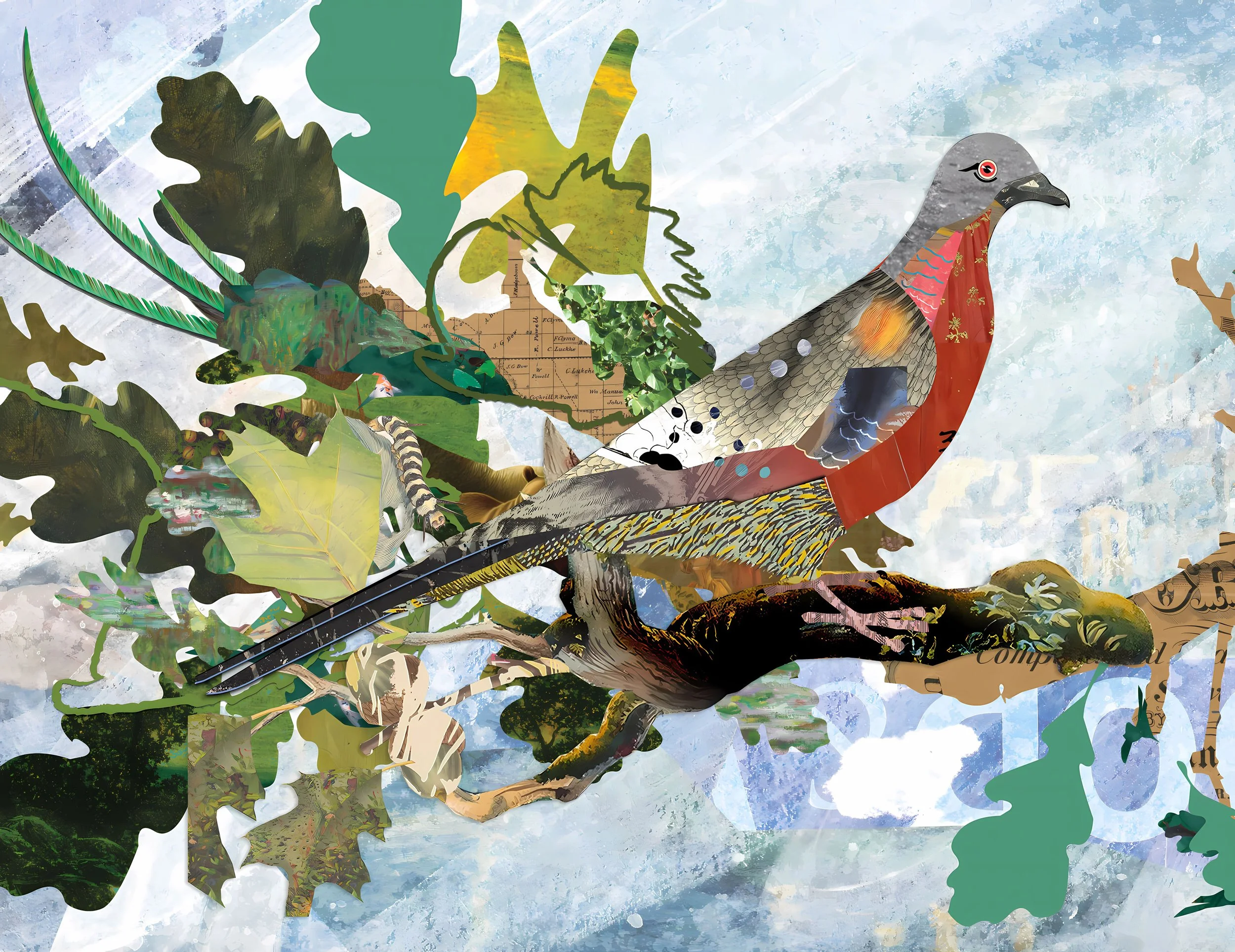 Passenger Pigeon (Digital Art - 15.5" x 20" - $300 USD - USA) Dannell MacIlwraith