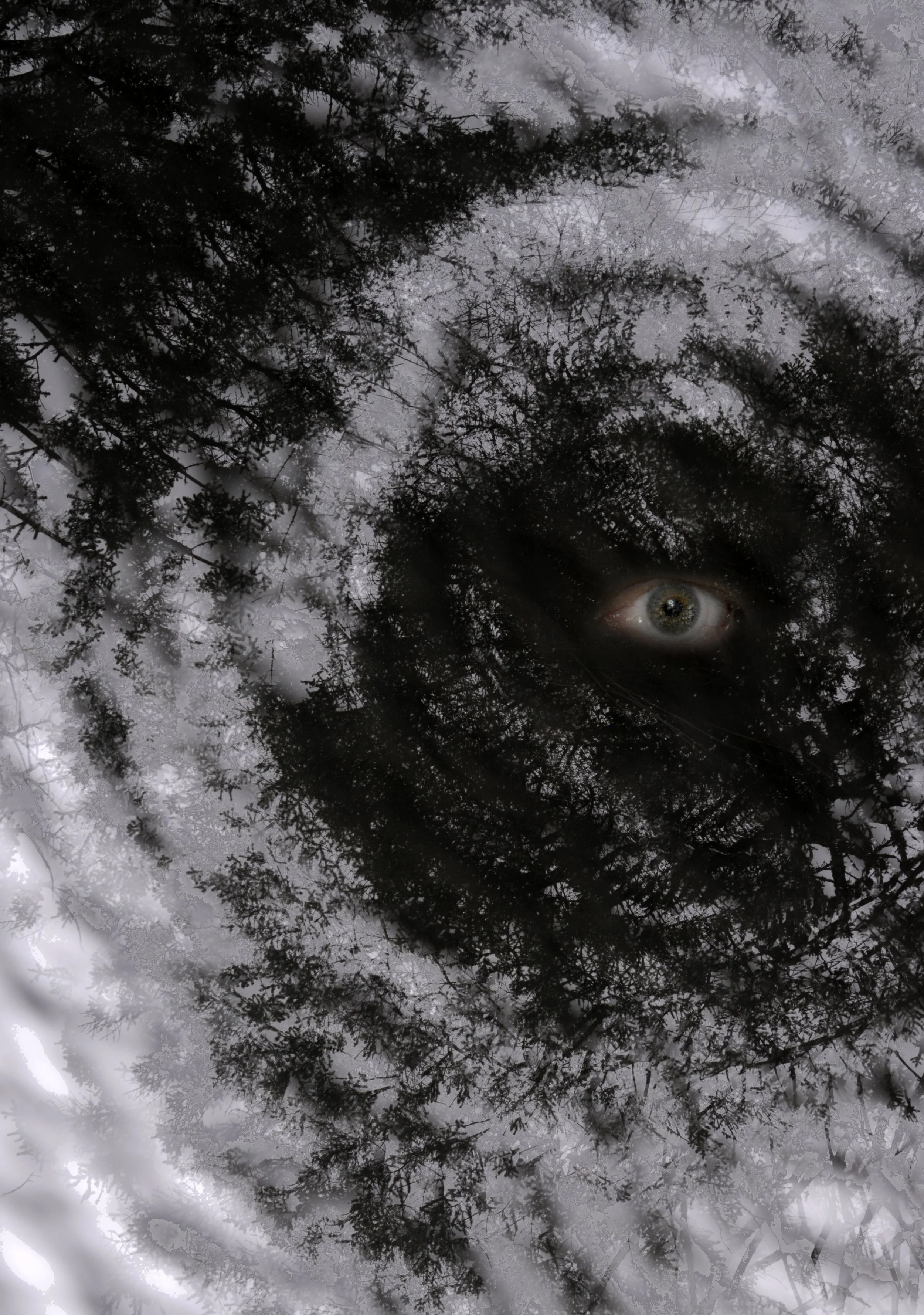 Eye Of The Storm (Photography - 20" x 16"  - $150 CAD (Canadian Shipping Extra) - Canada) John Pingree