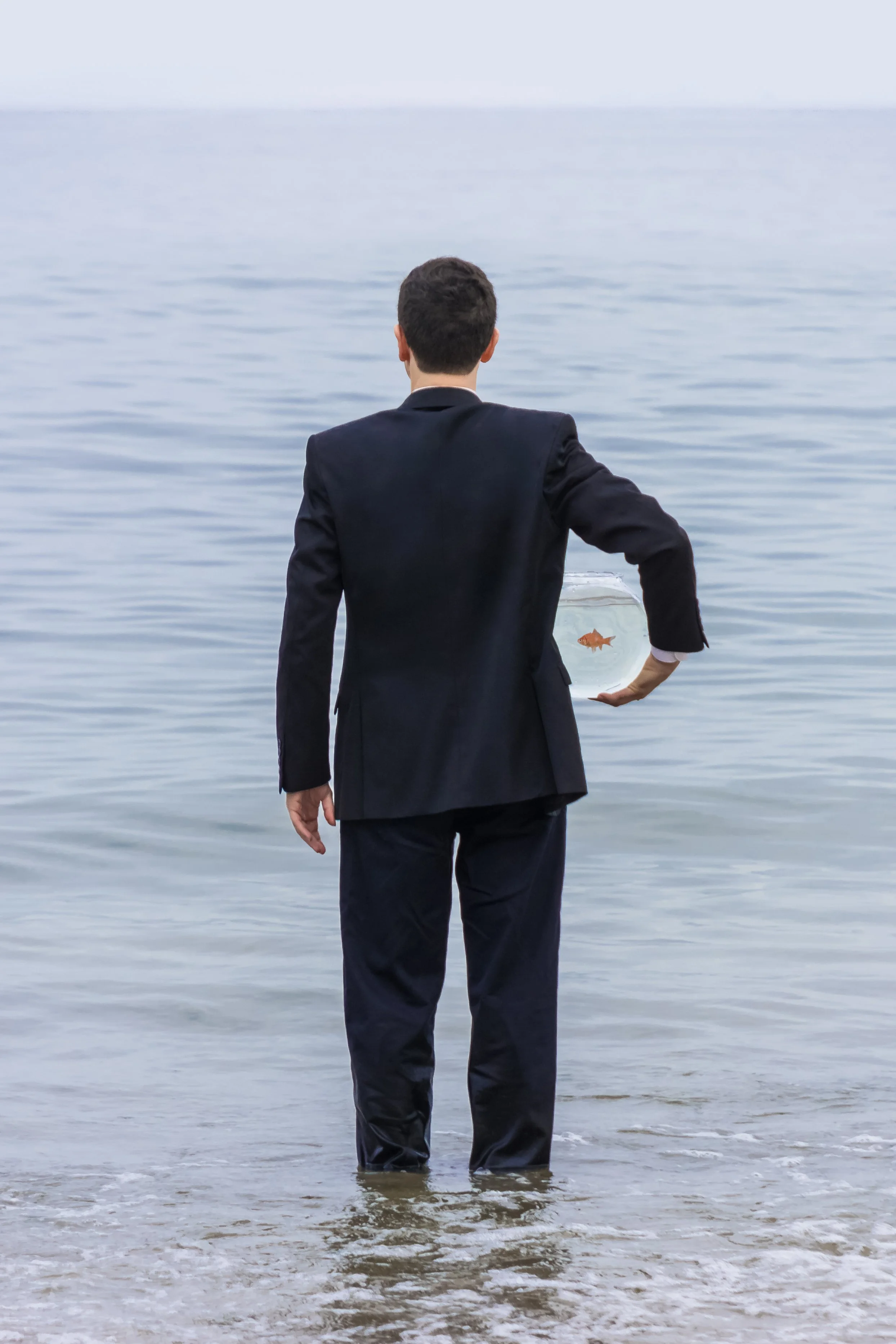 The Fishbowl (Photography - 24 x 16 print in 28 x 20 frame (inches)  - $1500 USD - USA) Brian Goldfarb