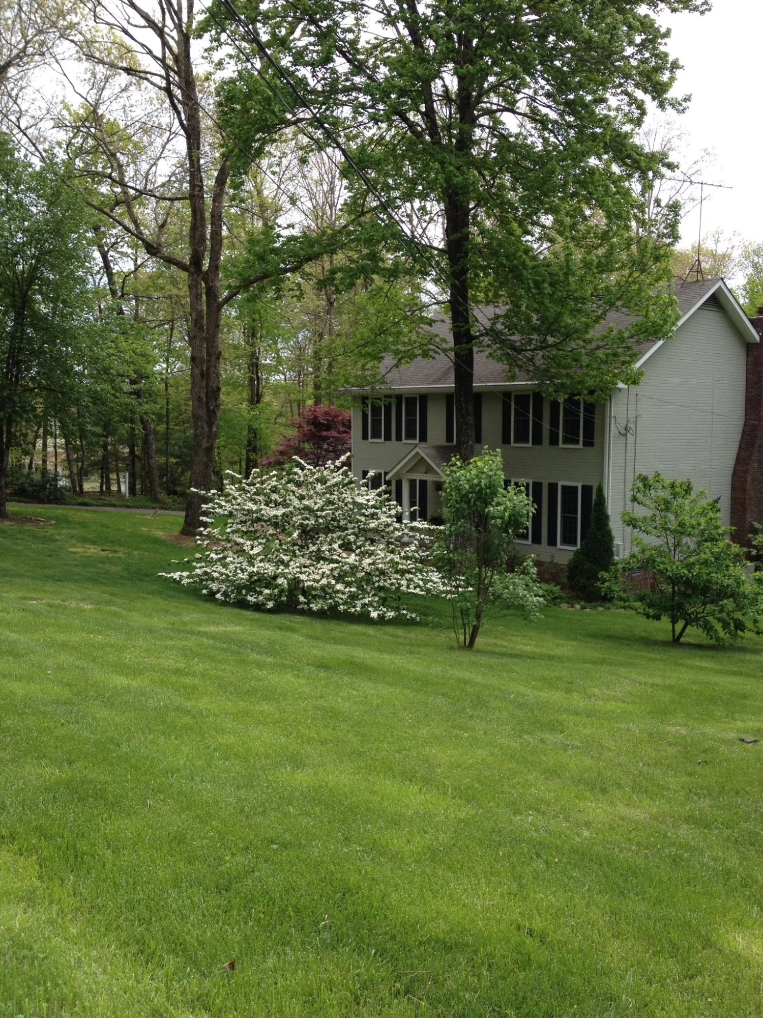 3009 Wingfield Court, Signal Mountain