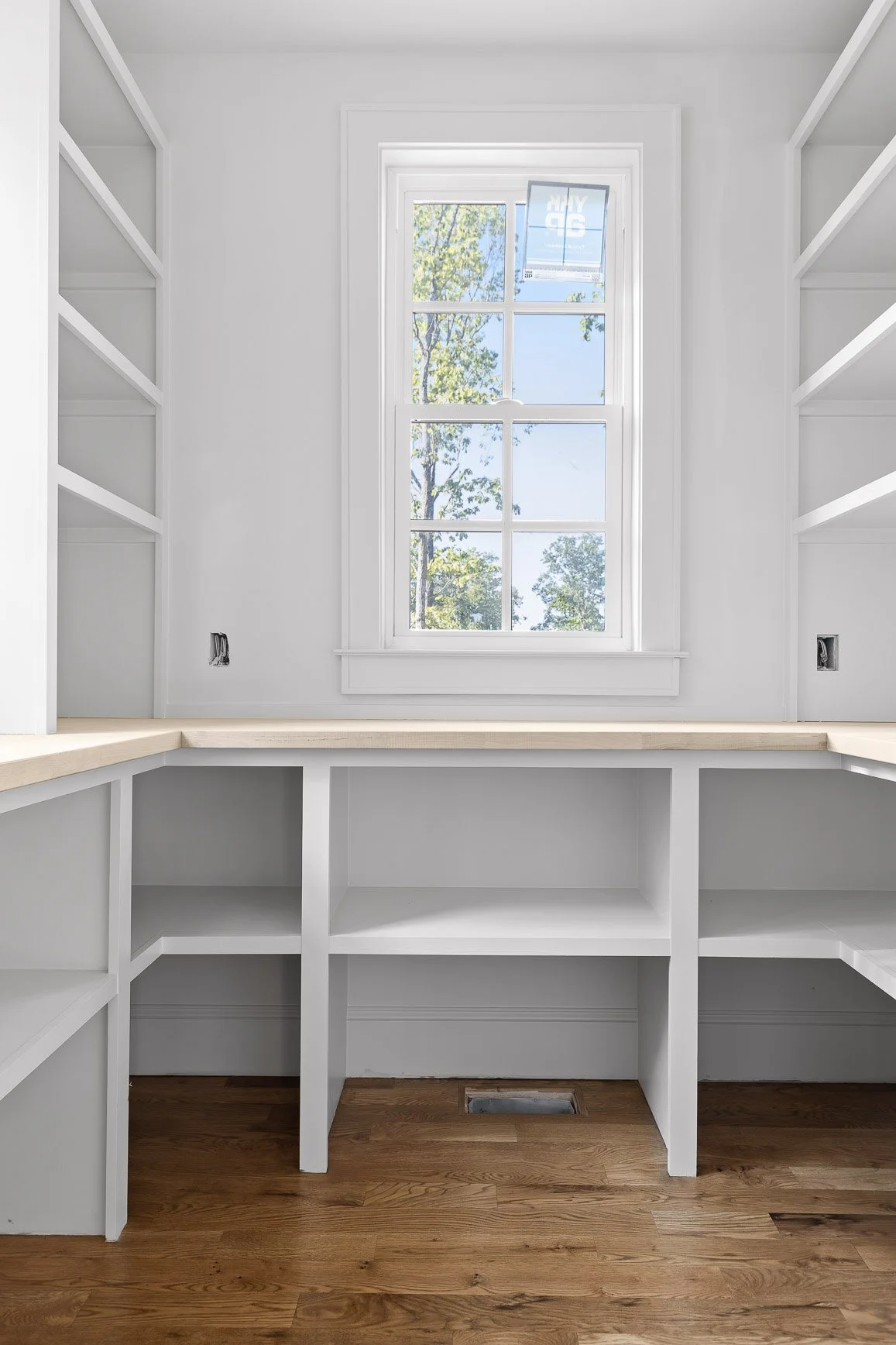 Mountain Laurel-12.jpg