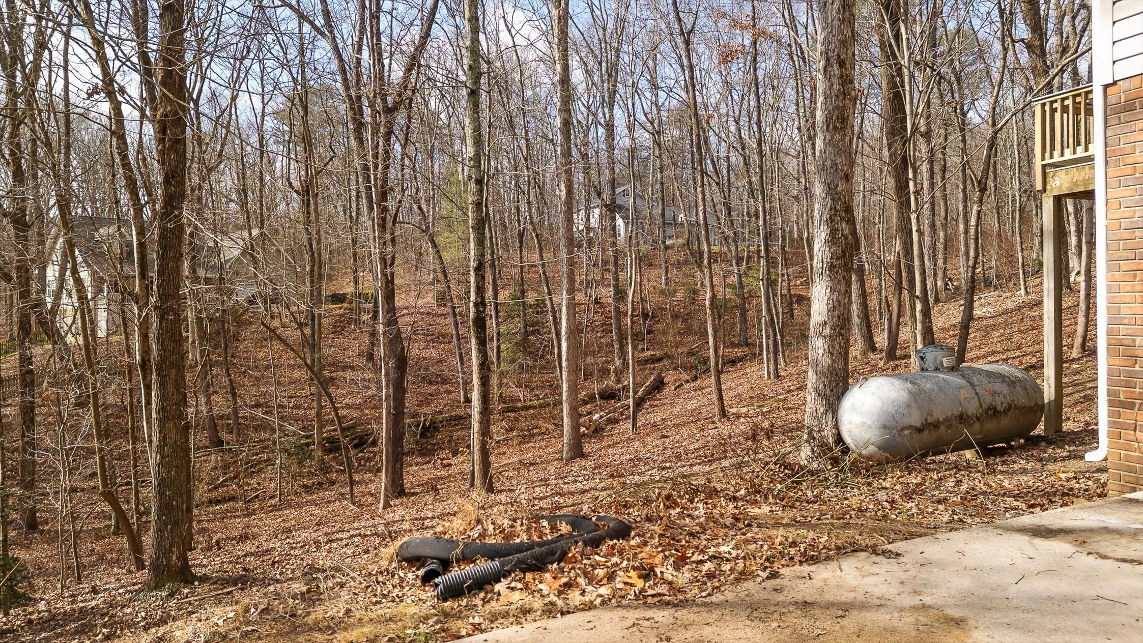 49-Creek Point-49.jpg