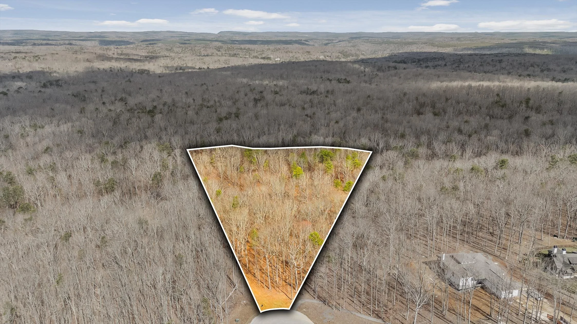01-Bear Paw Overlay-1.jpg