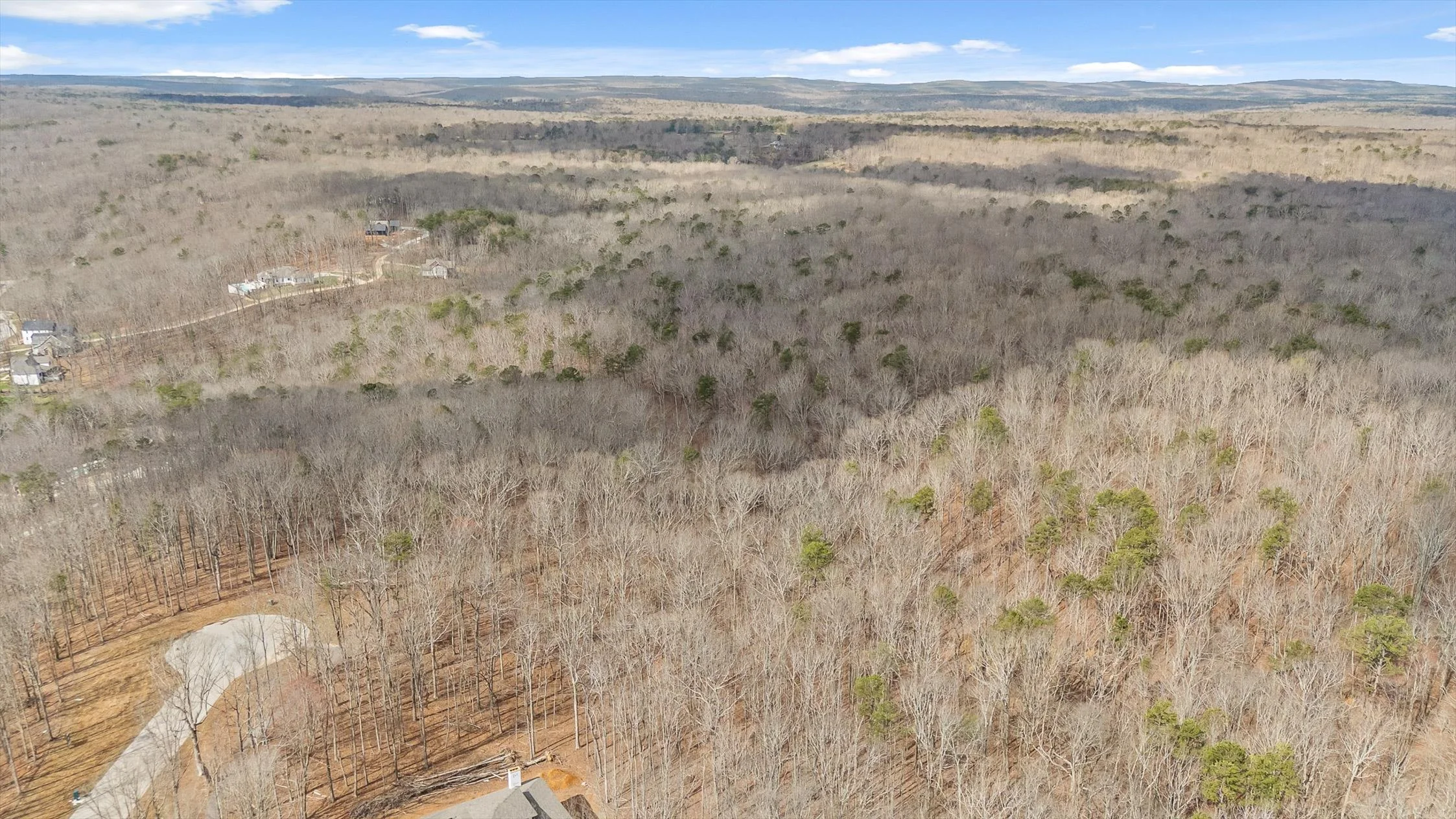 22-Bear Paw-21.jpg