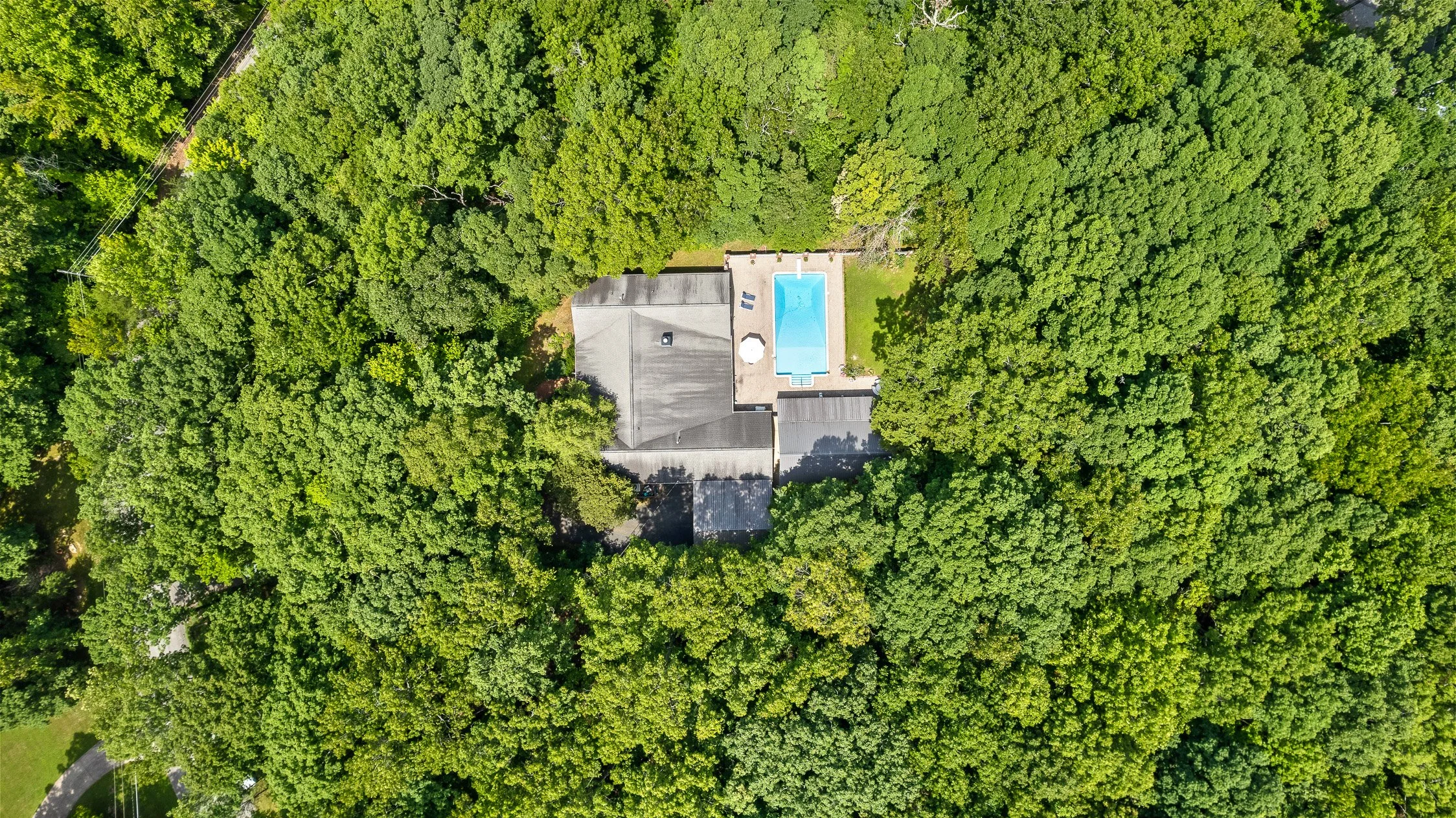 Wood Sorrell-54.jpg