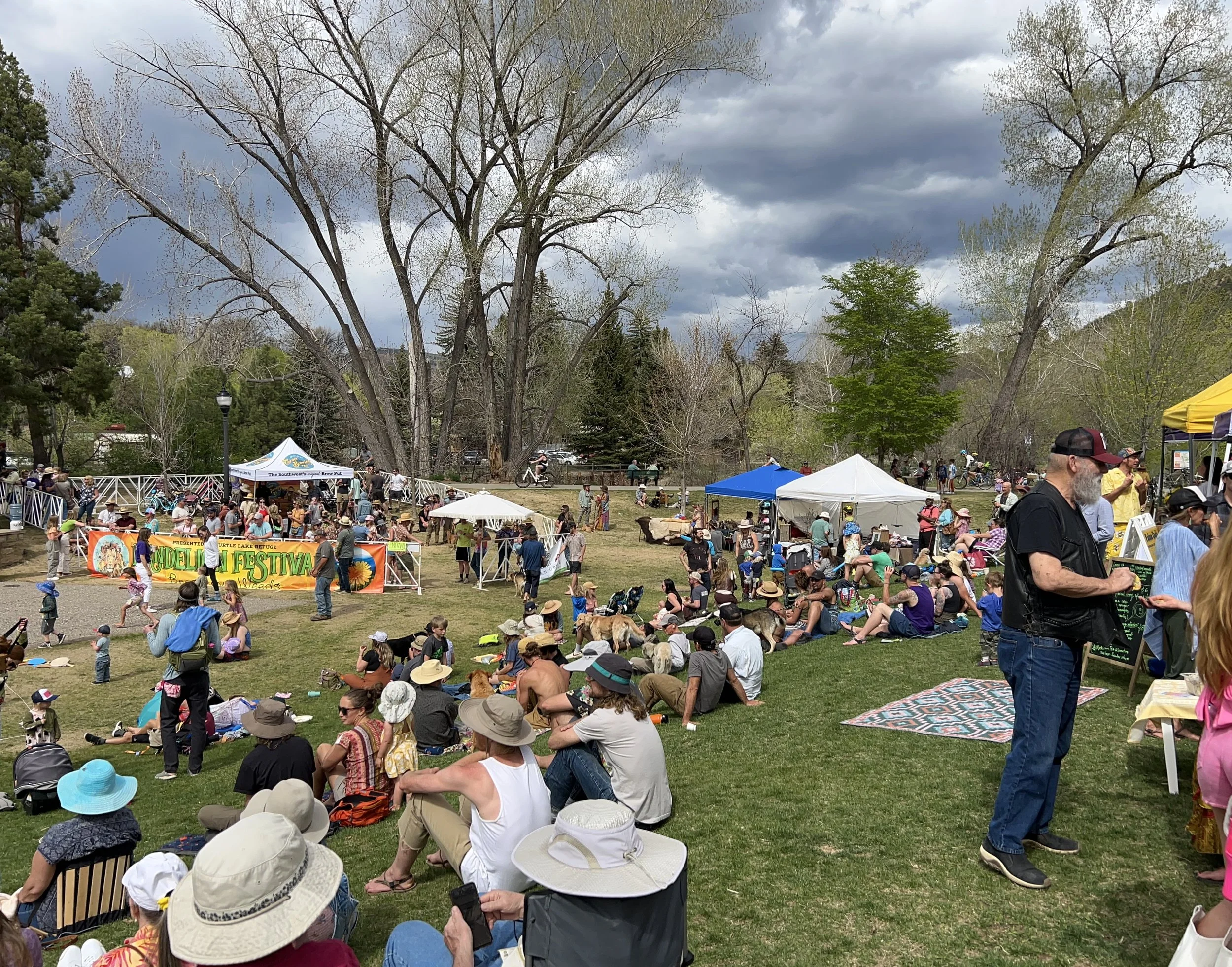 Dandelion Festival