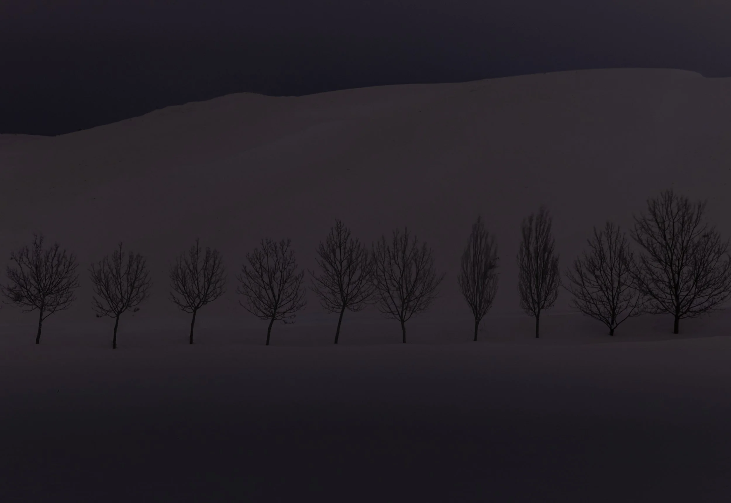 A Quiet Night III - Cedars, Lebanon.jpg