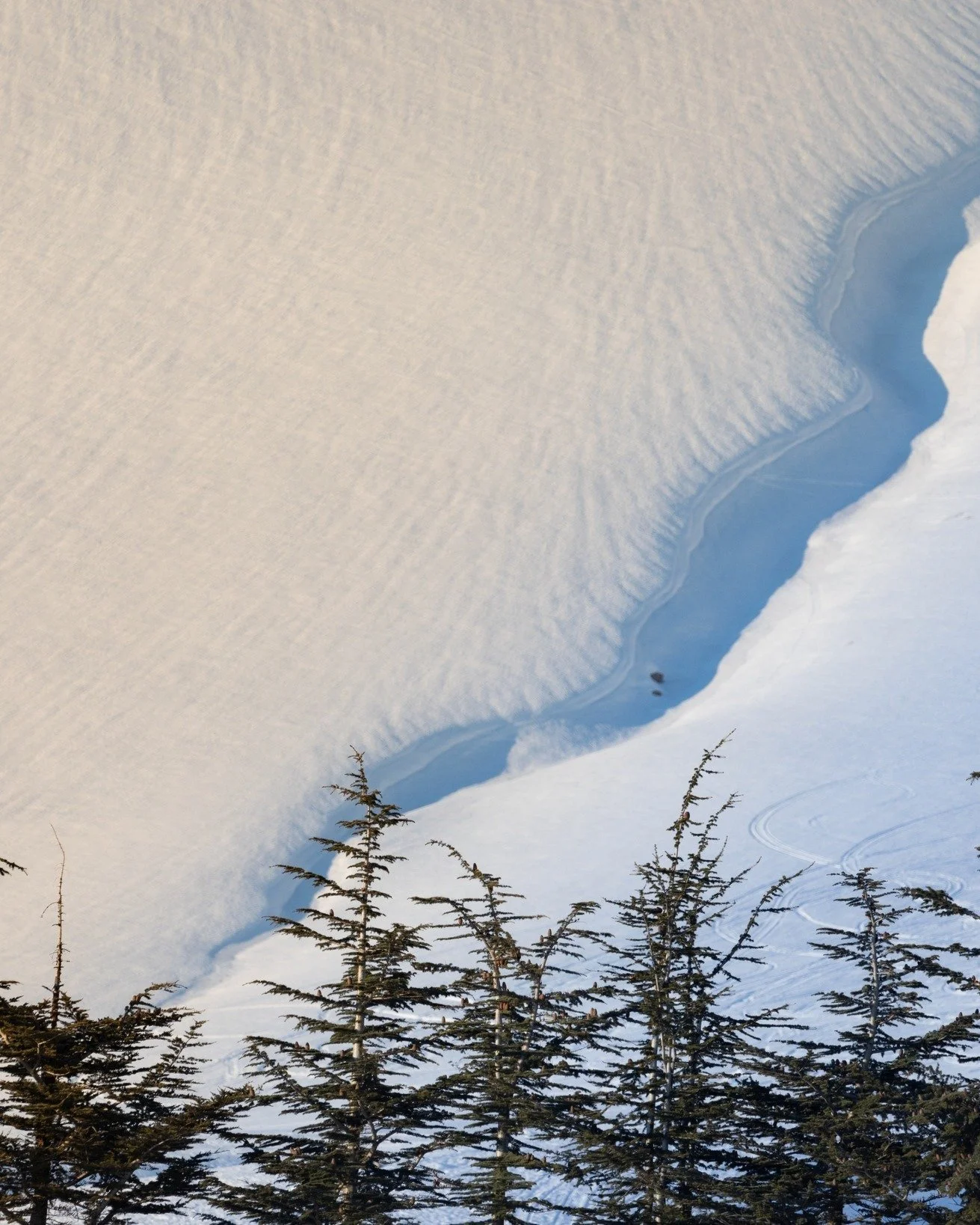 A wild kind of beautiful.❄️
📸 @georges_yazbeck 

For info about our hotel, contact us on 00961 70 413 777
.
.
#lecedrus #lecedrushotel #hotelsinlebanon #getaway #weekendgetaway