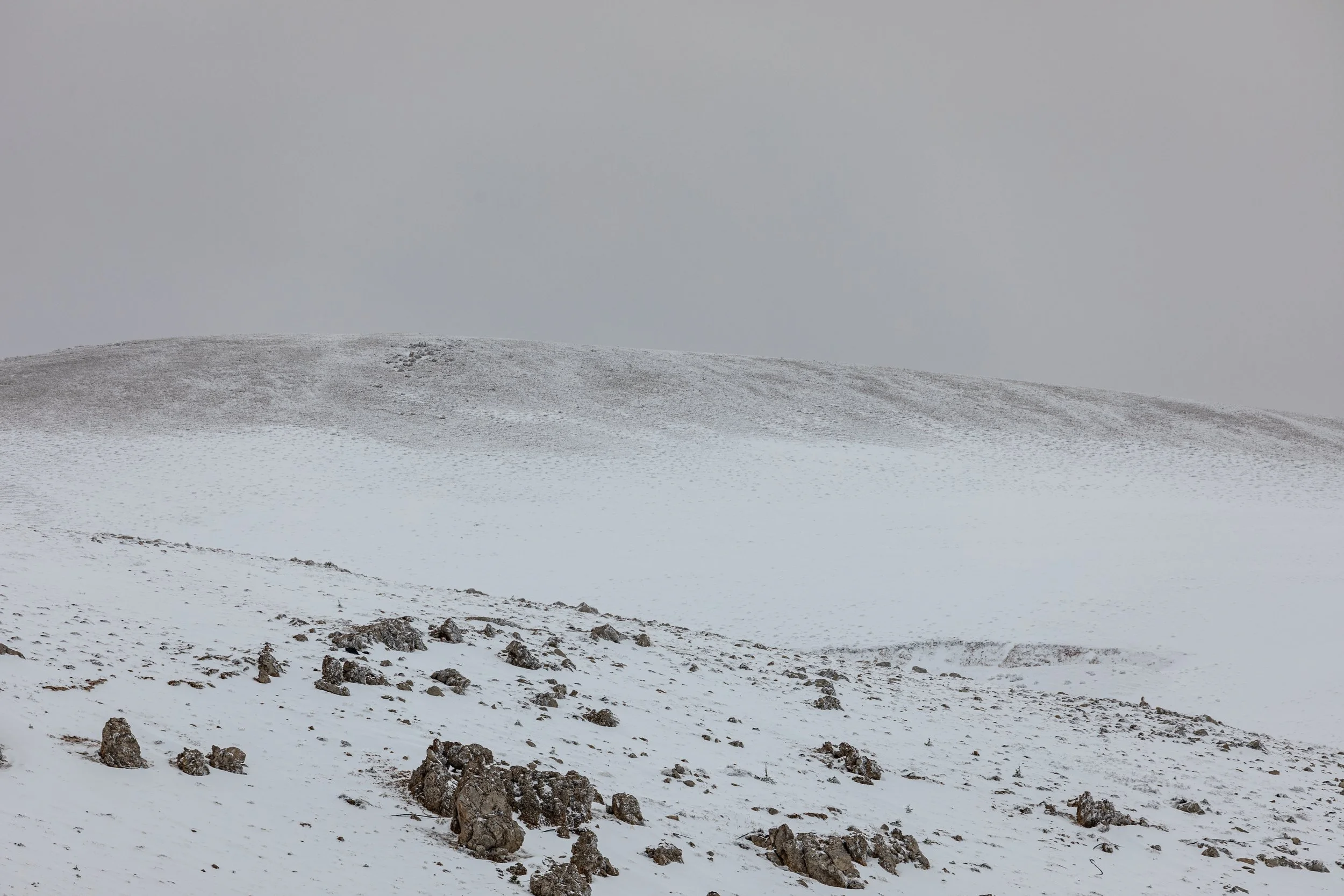 Photo 27-11-2022, 11 13 36 AM.jpg