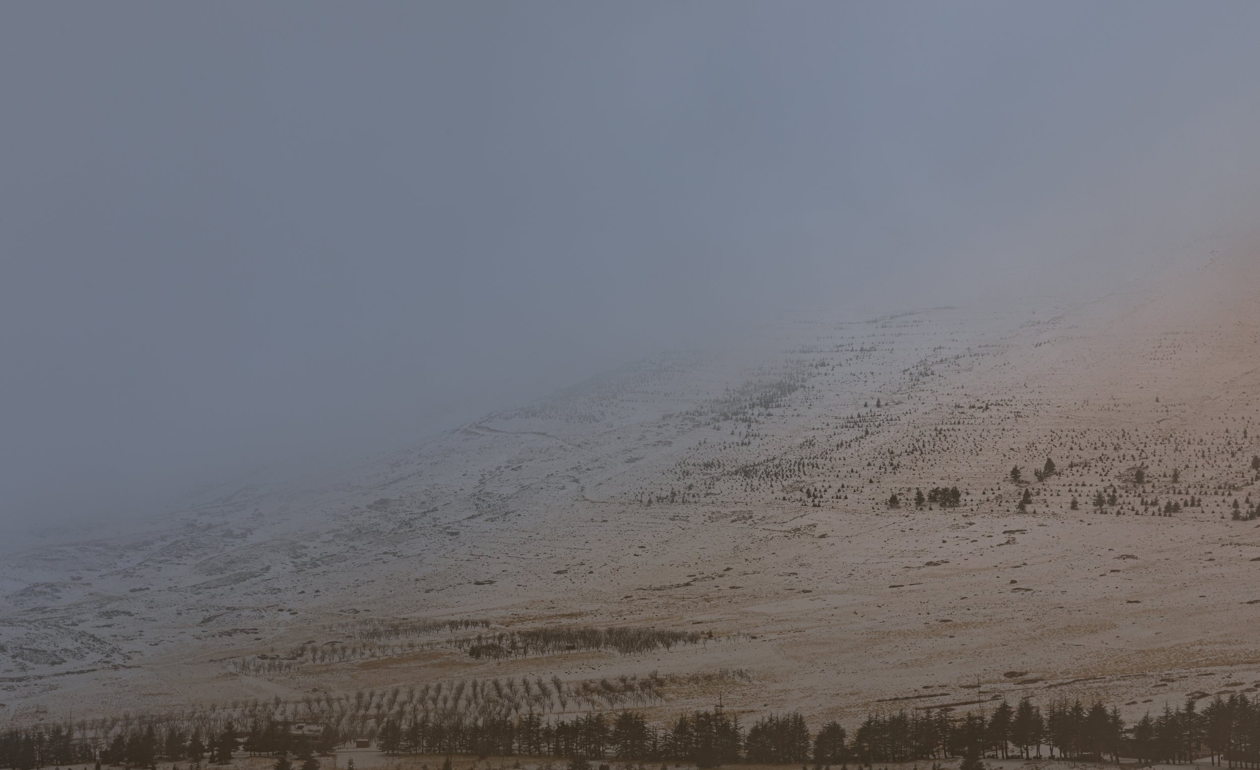 Photo 26-11-2022, 1 35 57 PM.jpg