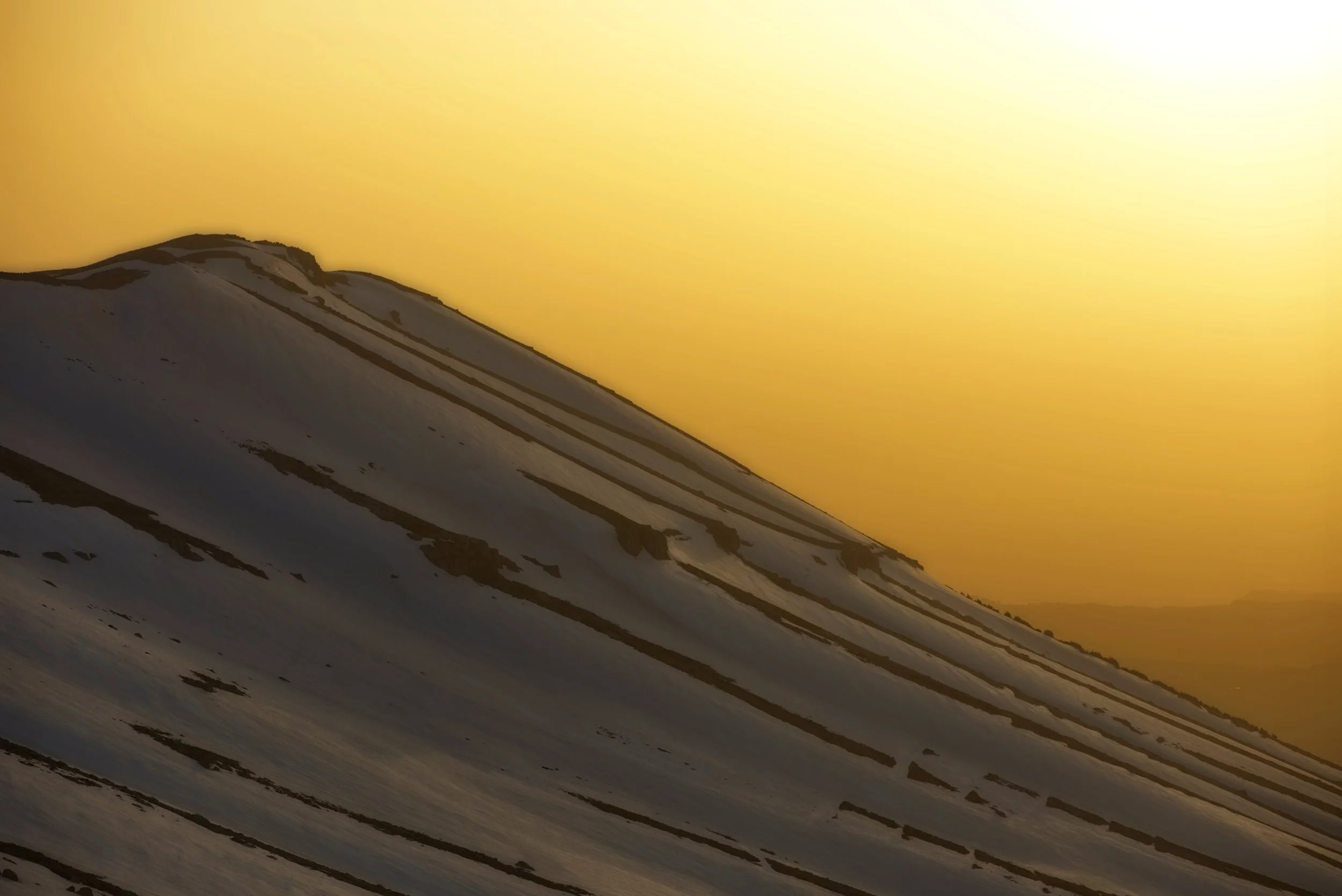 5U4A9720 - processed - Orton.jpg