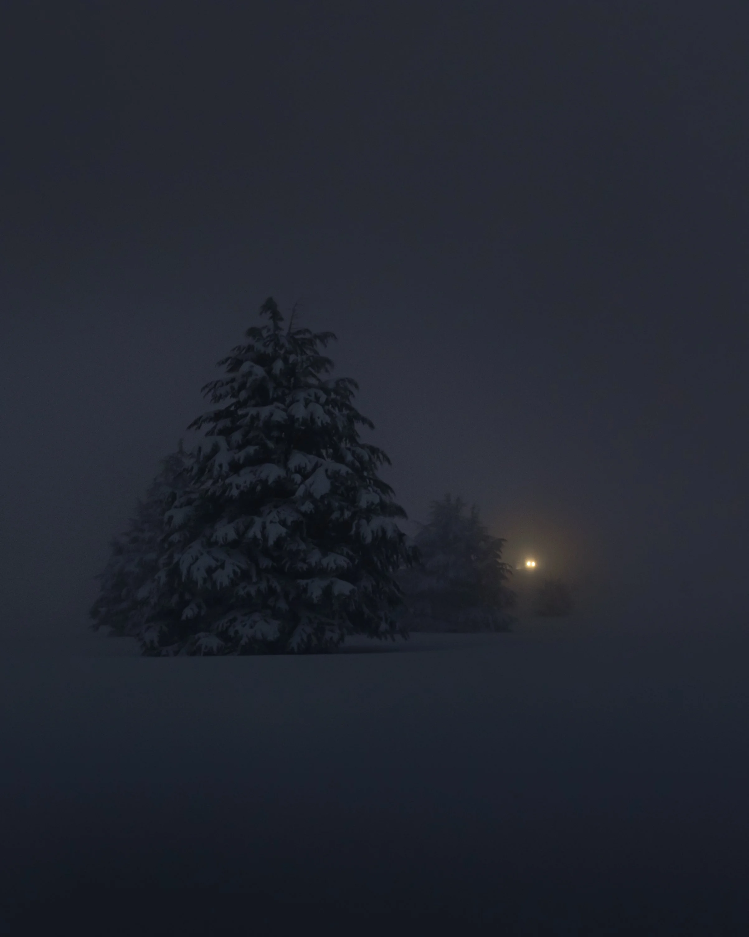 A Quiet Night - Cedars, Lebanon.jpg