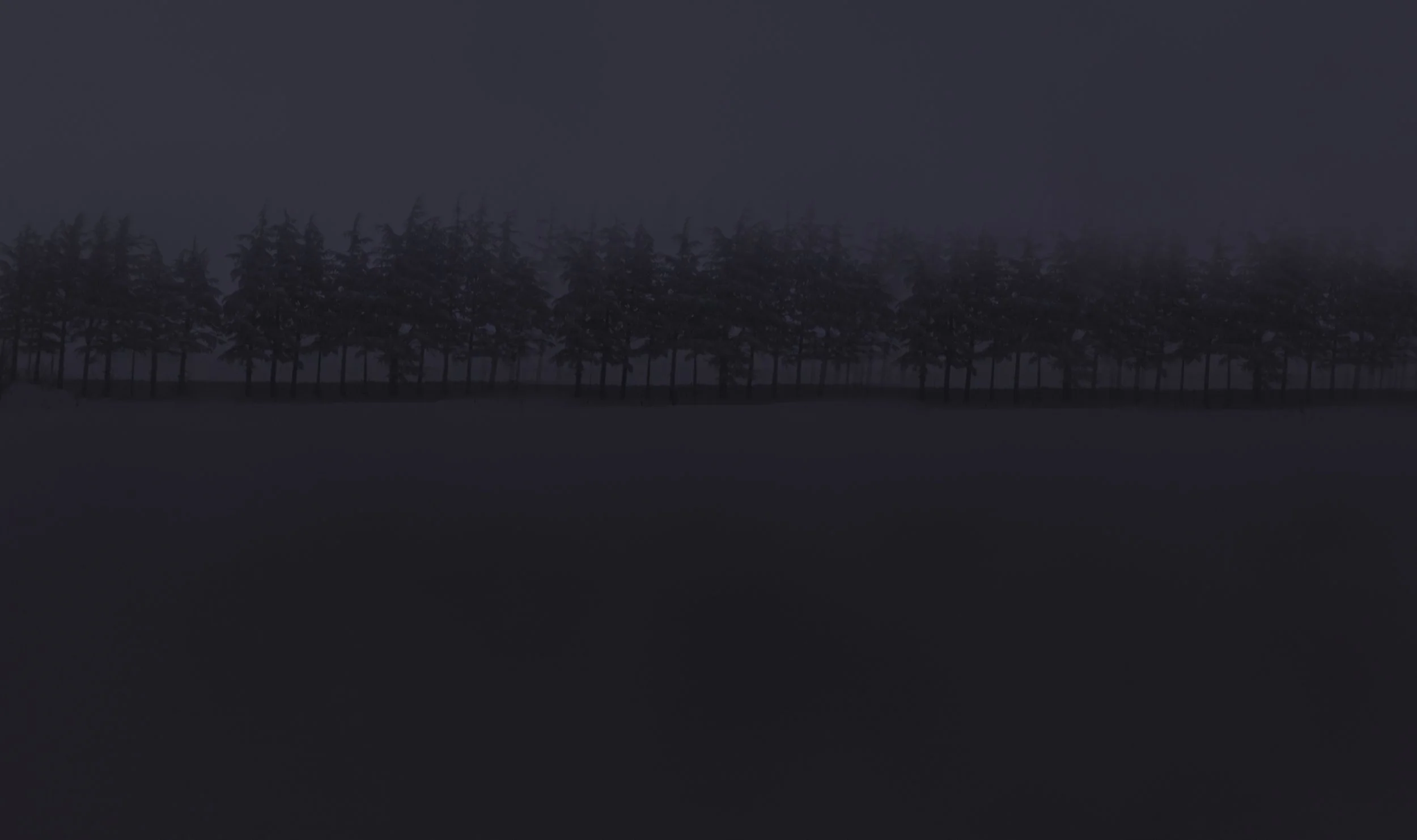 A Quiet Night II - Cedars, Lebanon.jpg