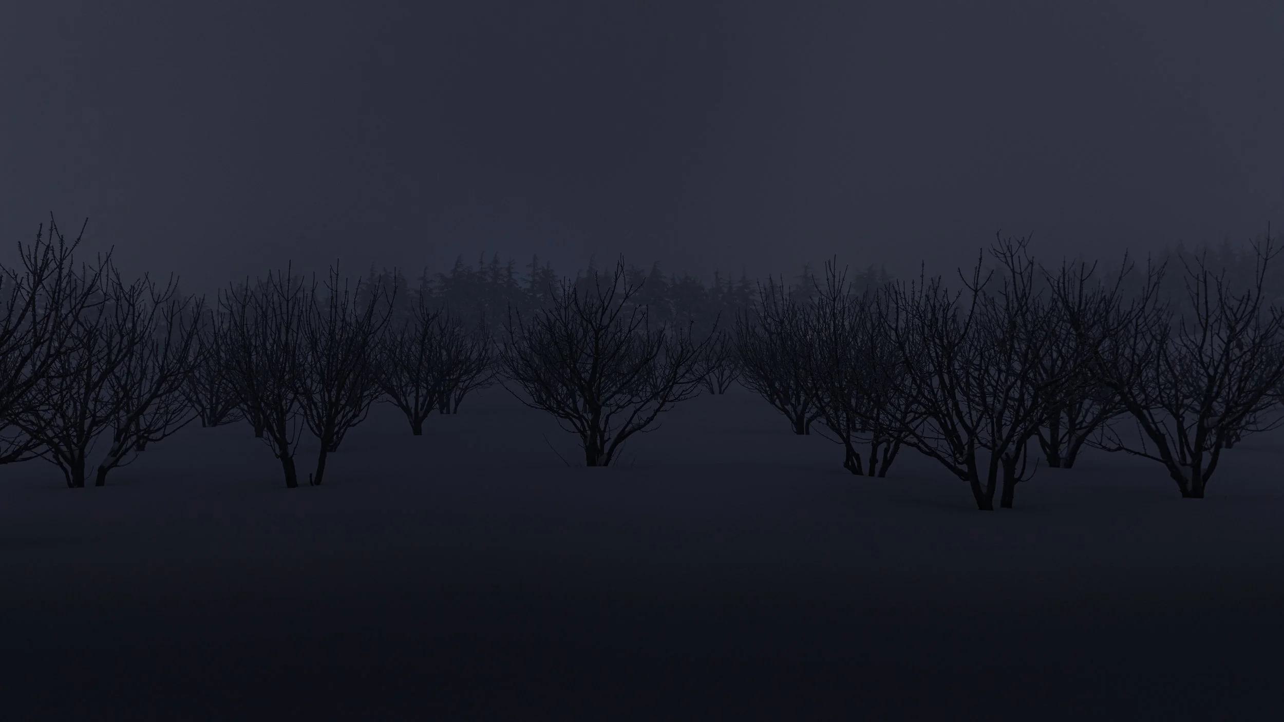 A Quiet Night IV - Cedars, Lebanon.jpg