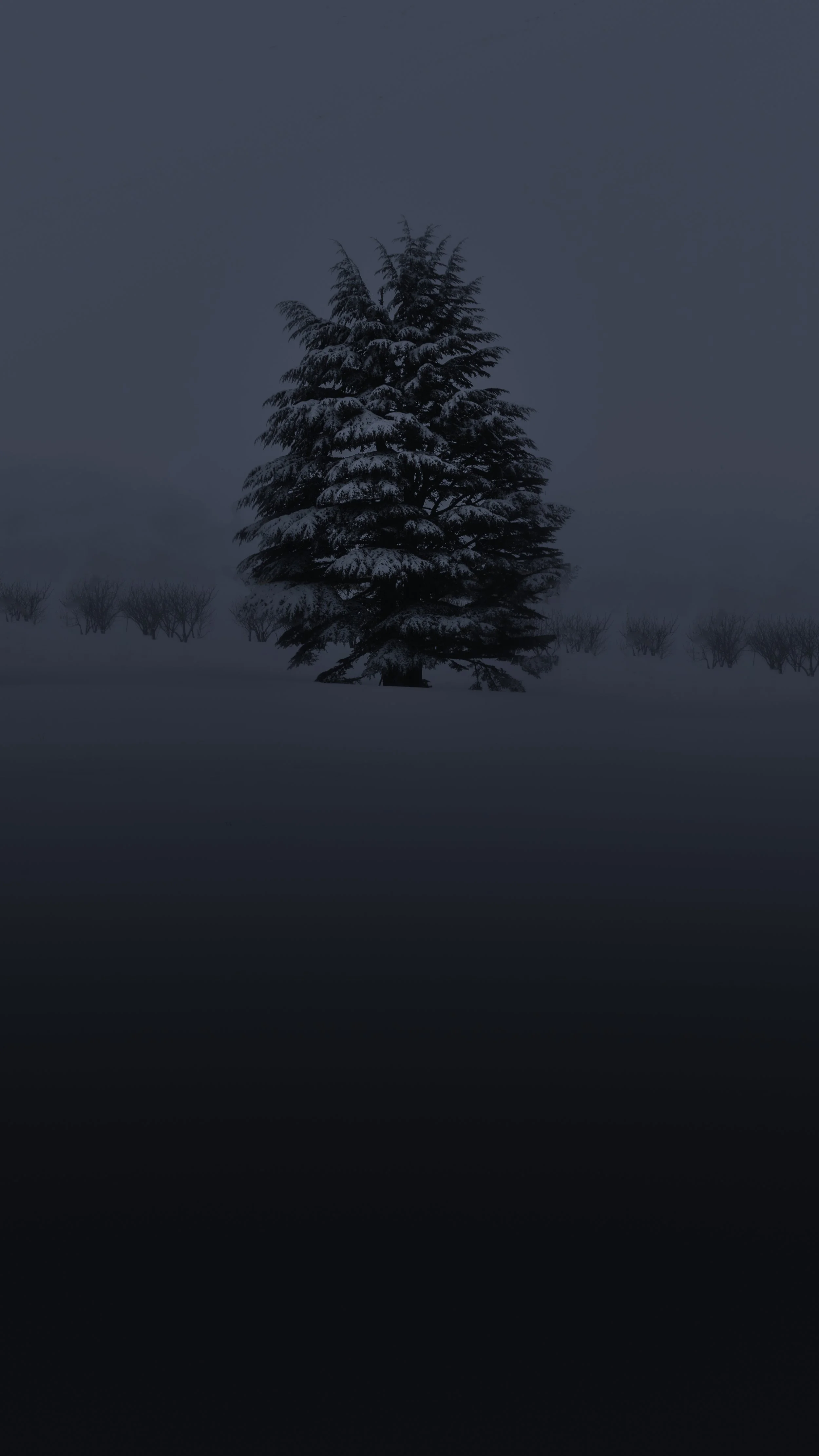 Alone - Cedars, Lebanon.jpg