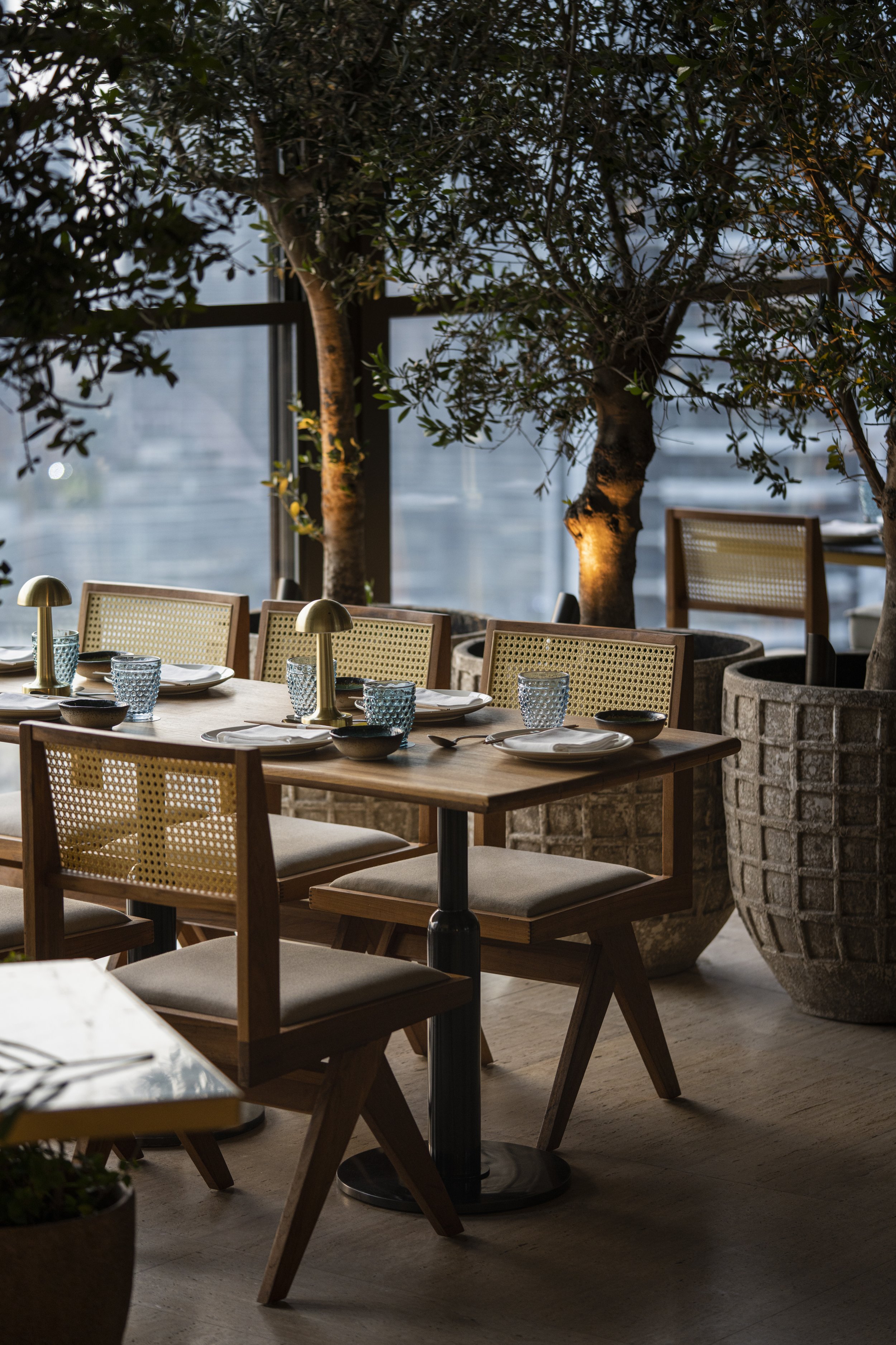 Empty restaurant table set with white plates, silverware, blue glasses, and small lamps, inside a space with large potted trees and floor-to-ceiling windows.