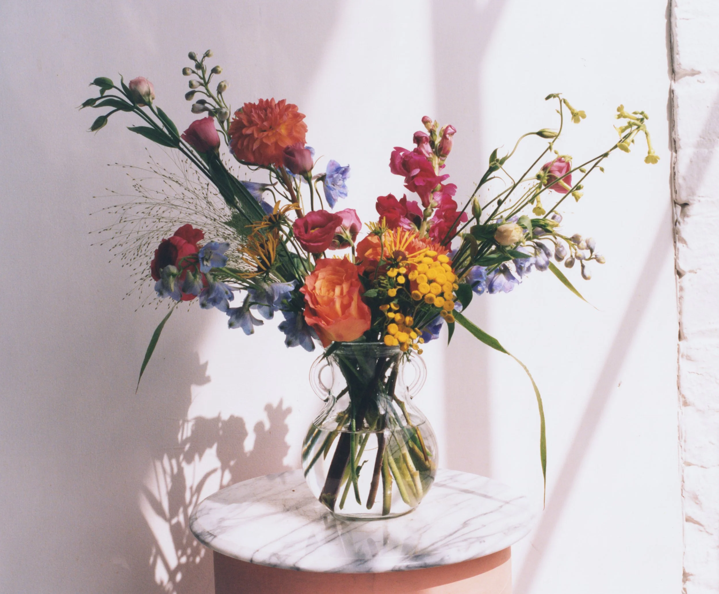 Stems_Brooklyn_2022_20221004_0019.jpg