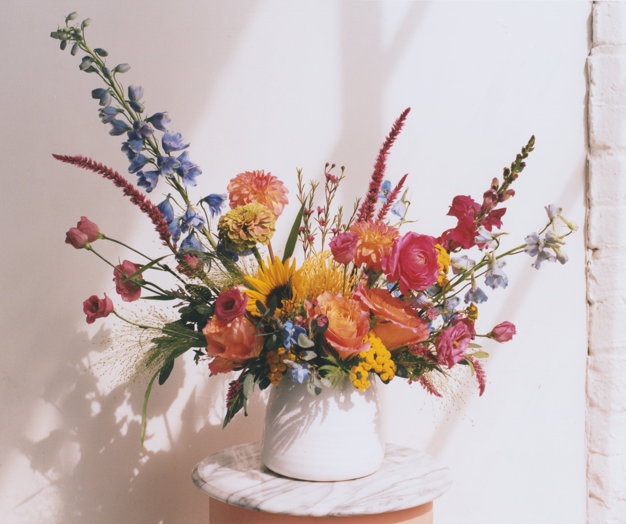 Stems_Brooklyn_2022_20221004_0022.jpg