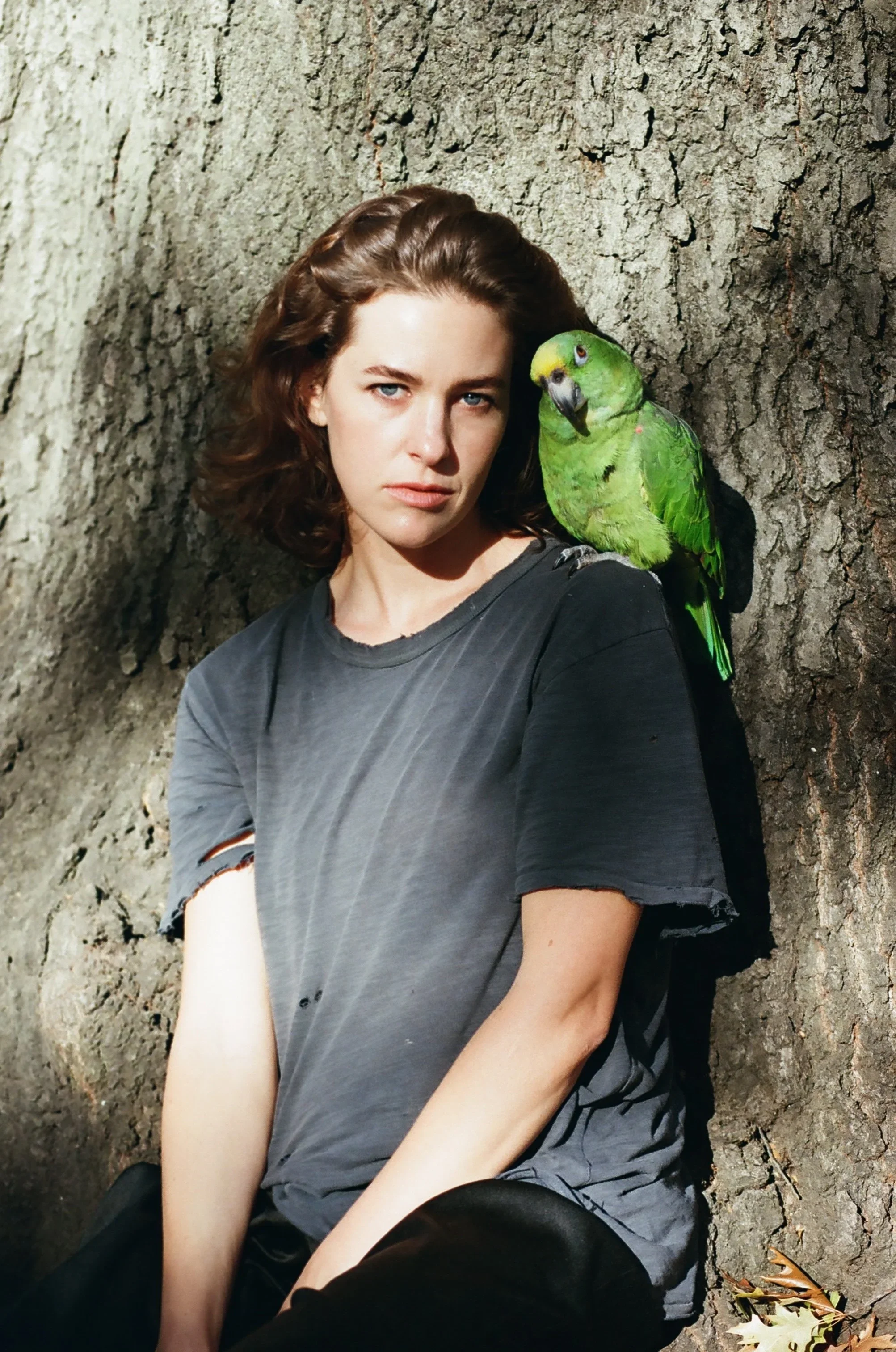 0465_27A.webp