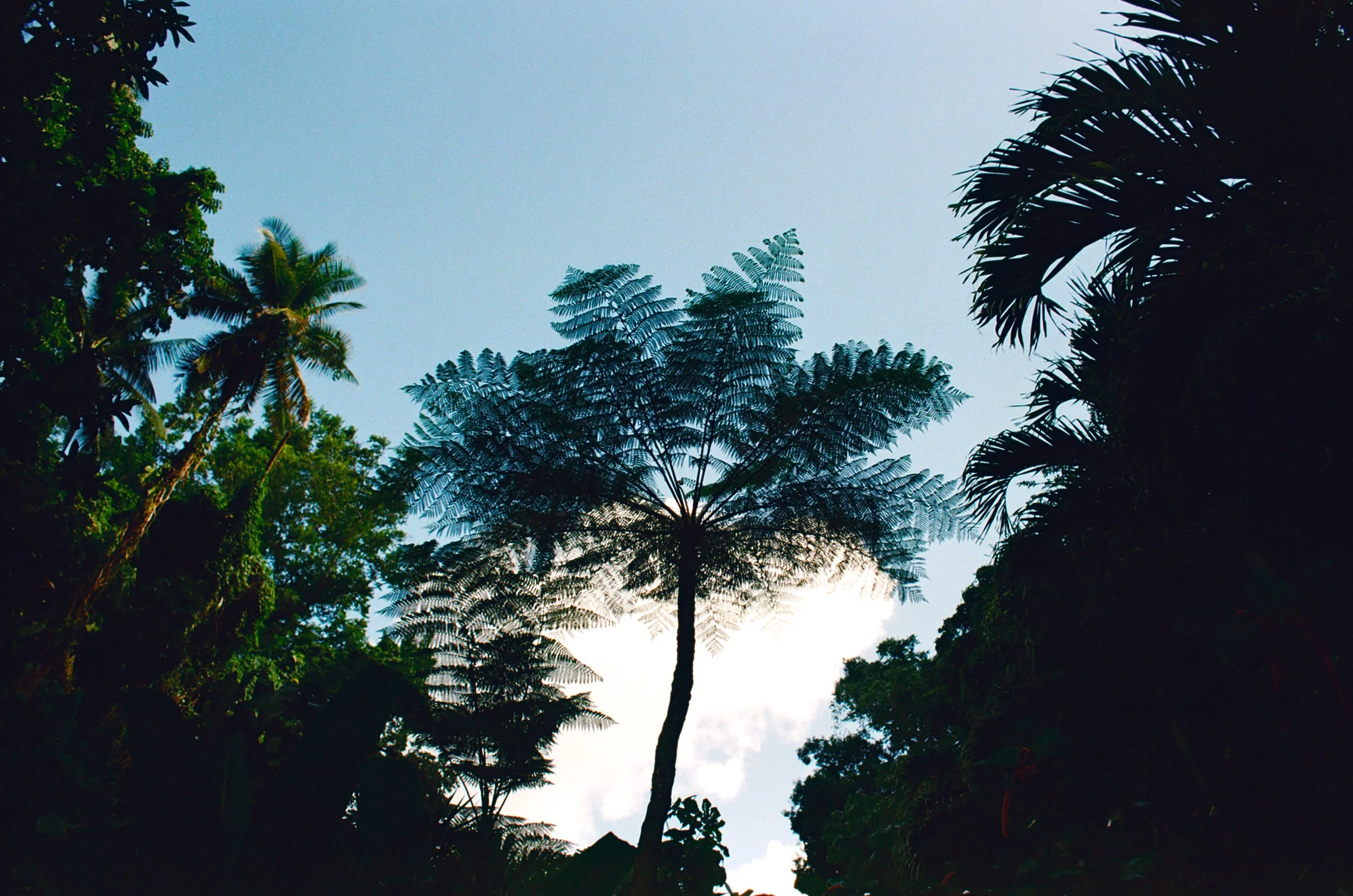 76134_FMI_004_02.jpg