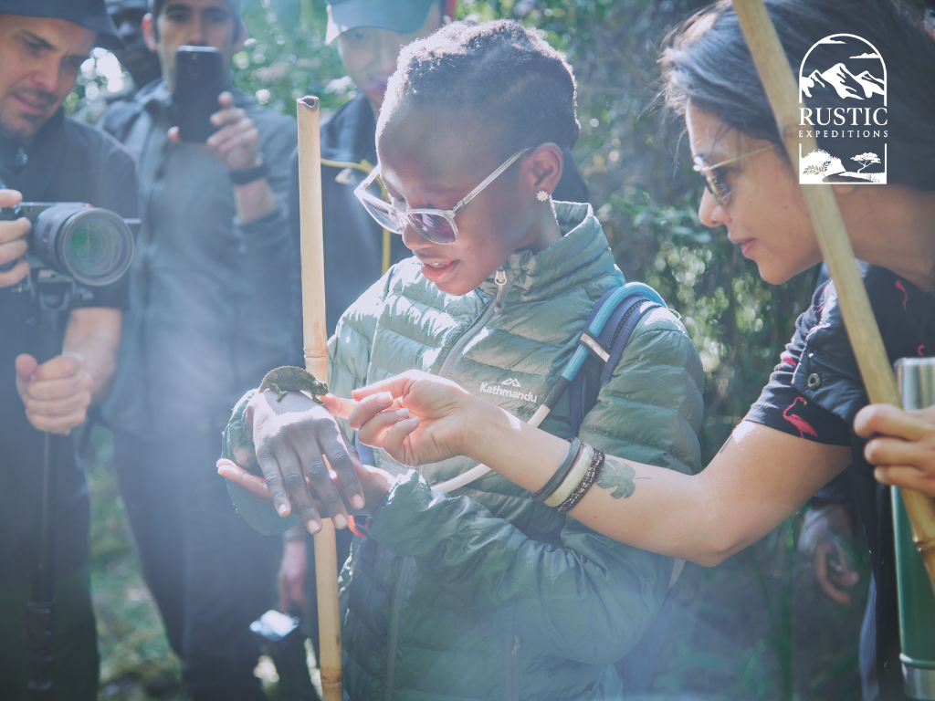 Chameleons are a common find across Uganda - and always a highlight on the trail!