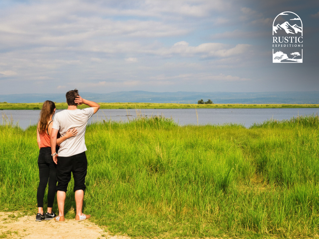 Spotting hippose along the shores of Lake Albert.