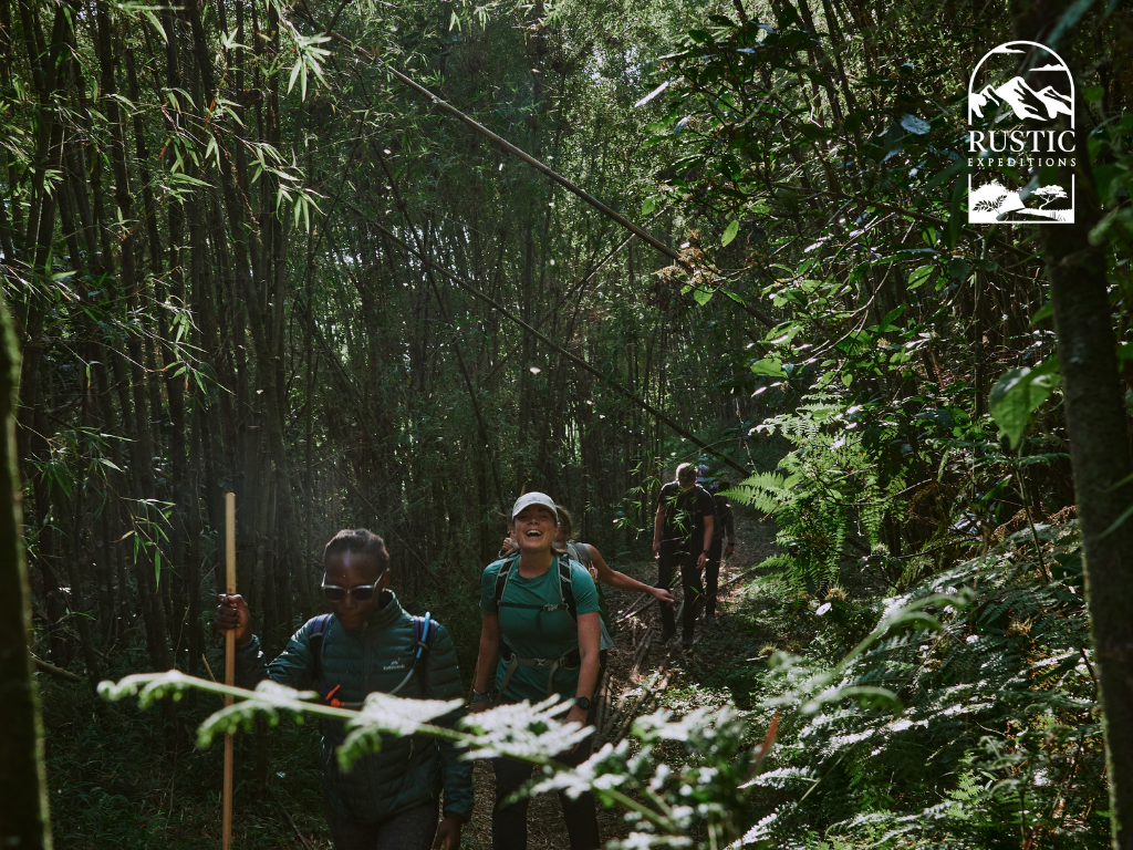 Hiking in Mgahinga National Park takes you through multiple vegetation zones, including dense bamboo forests