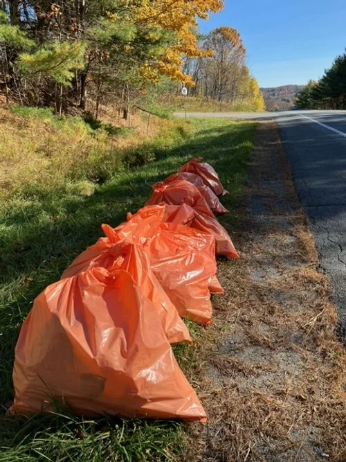 Members of the Cochecton Democratic Club cleaned up State Route 17B in Cochecton on October 20th.