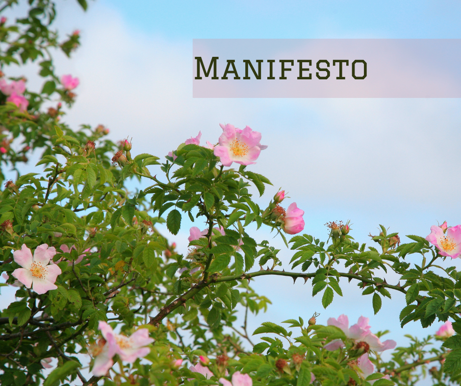 10-point Manifesto