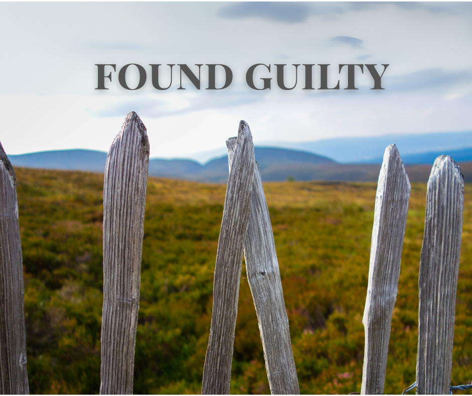 Public Statement After Sentencings