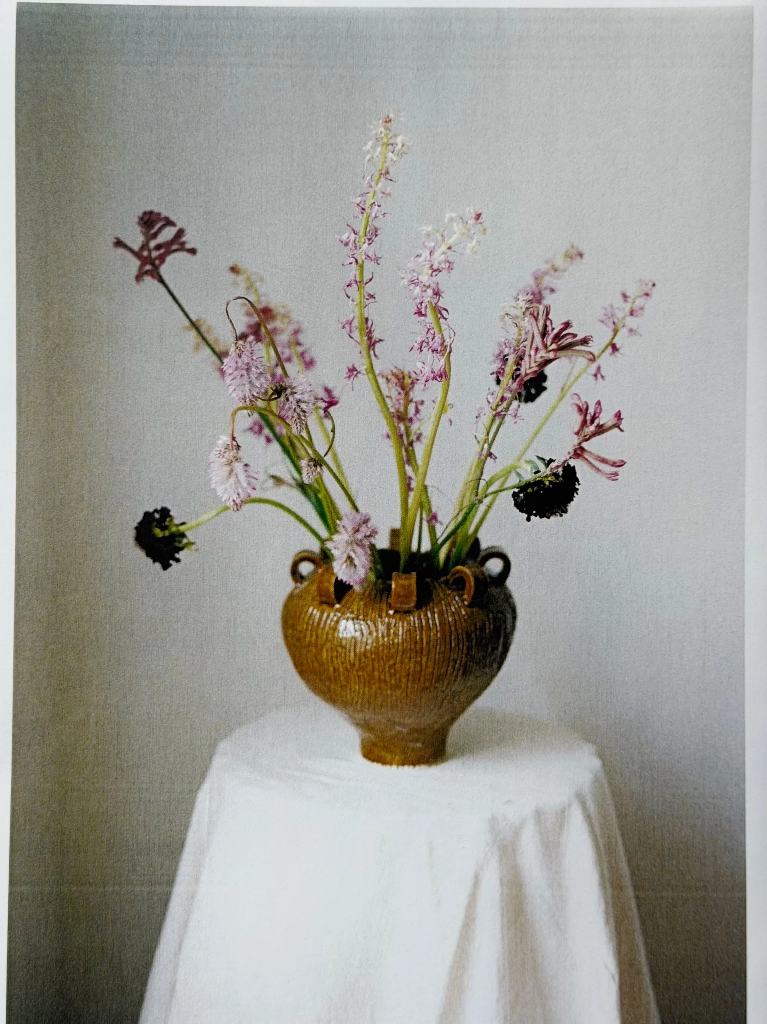 vase Noèse