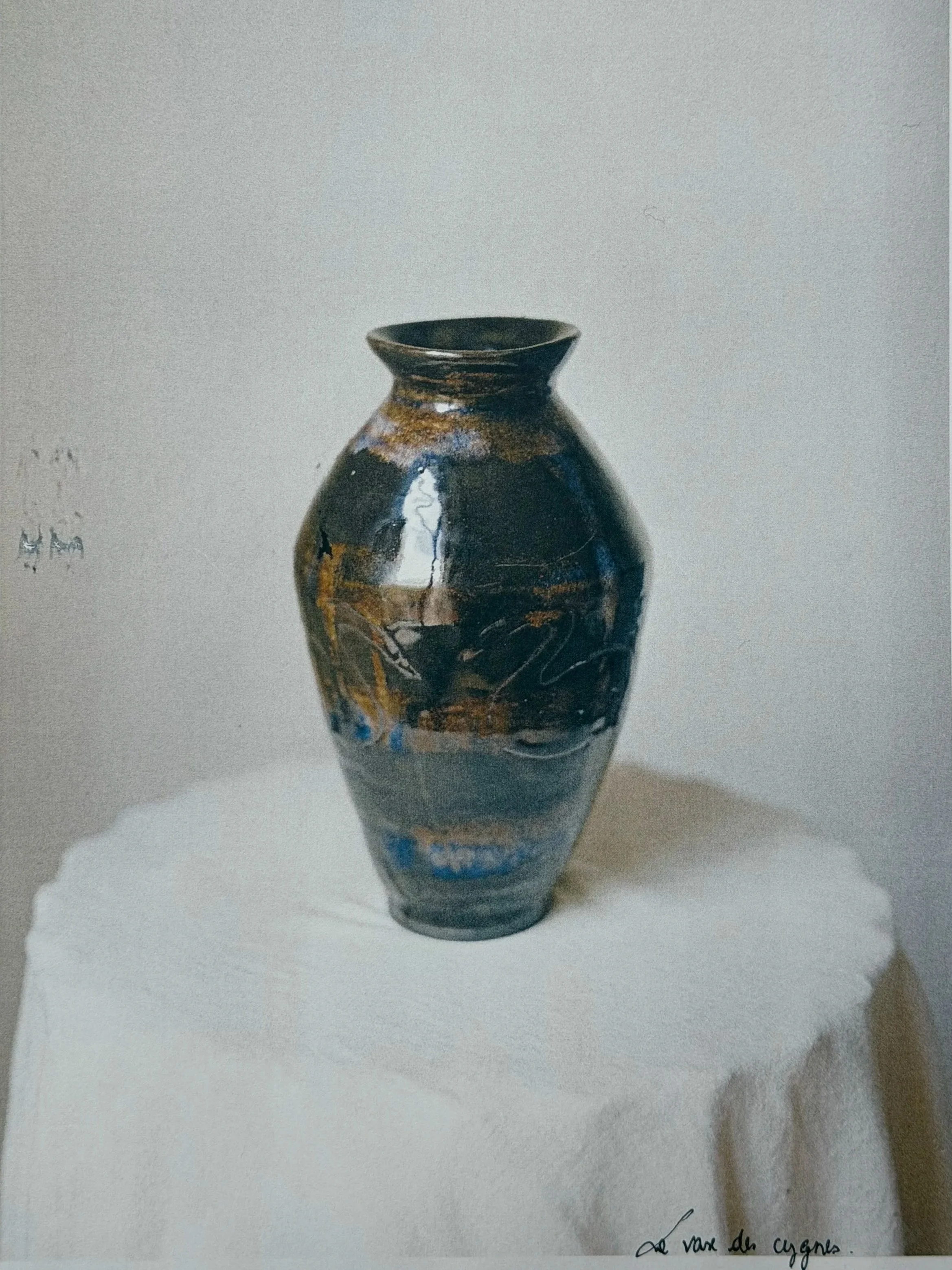 Le vase des Cygnes