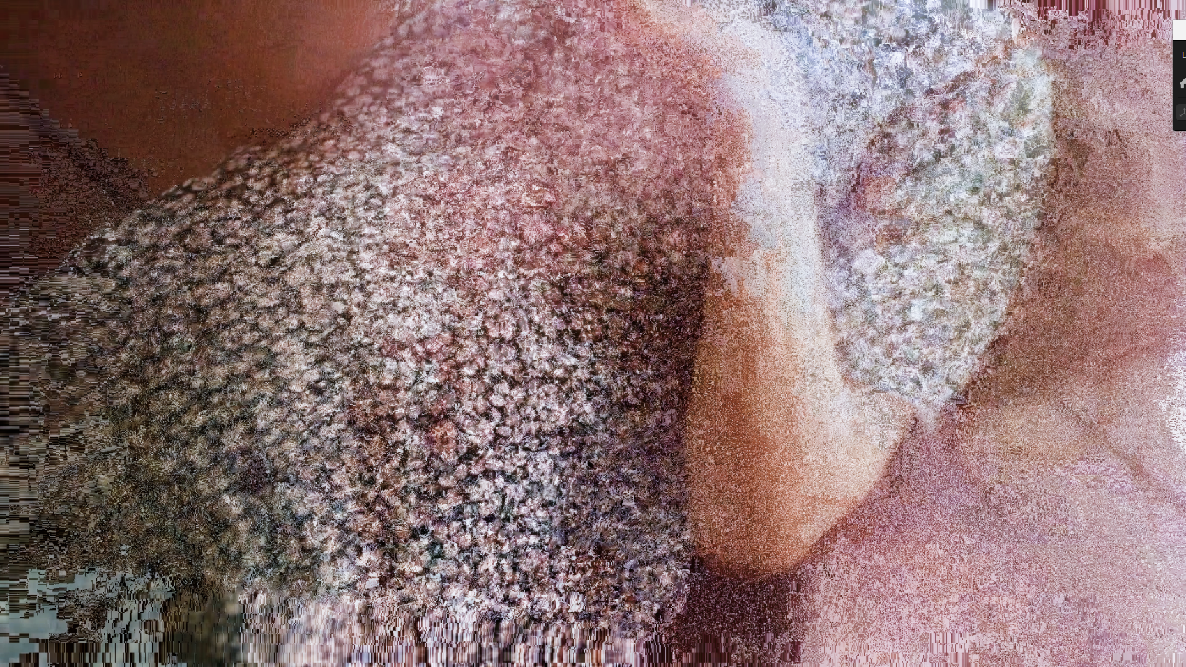 スクリーンショット 2025-08-09 172137.png