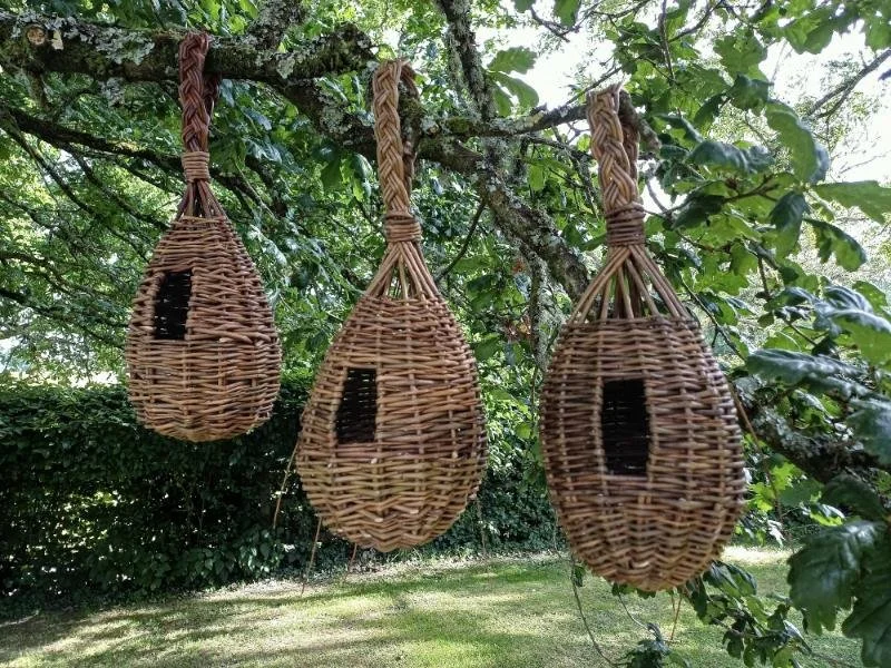 bird nesting pods.jpg