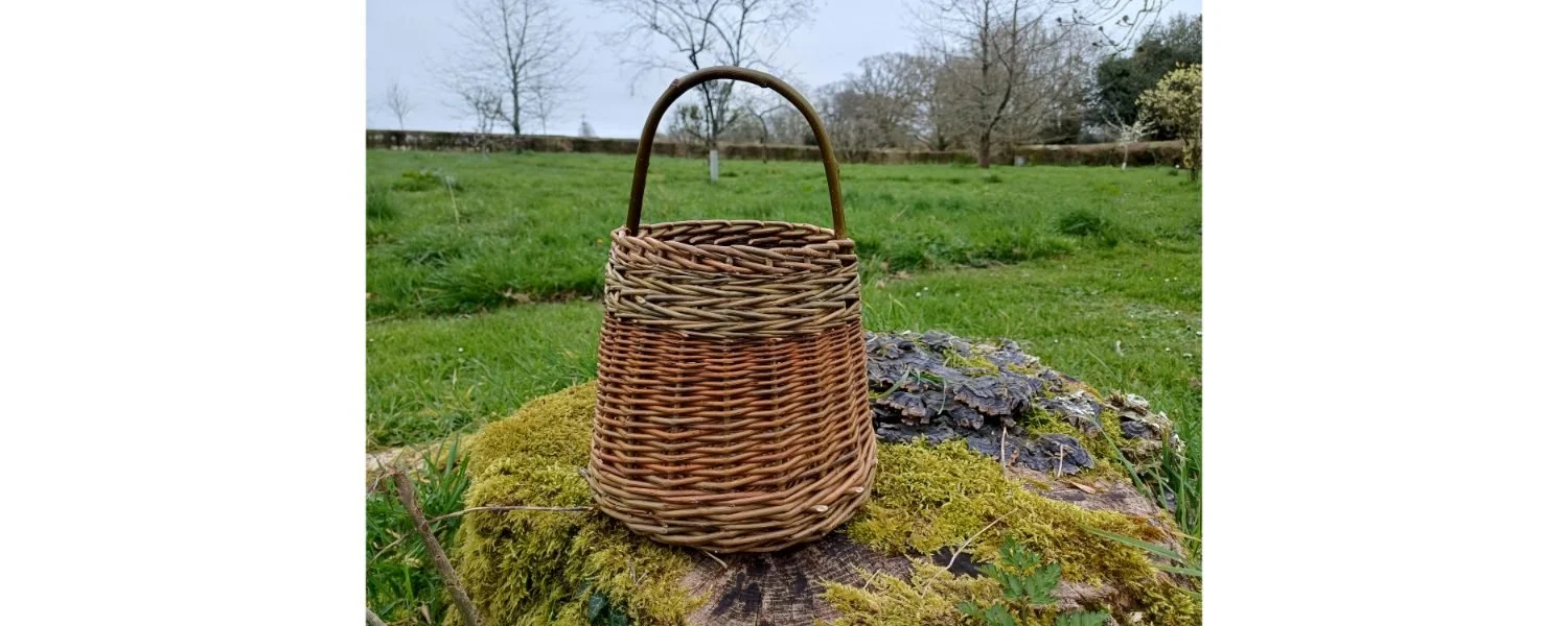 portrait of berry basket.jpg