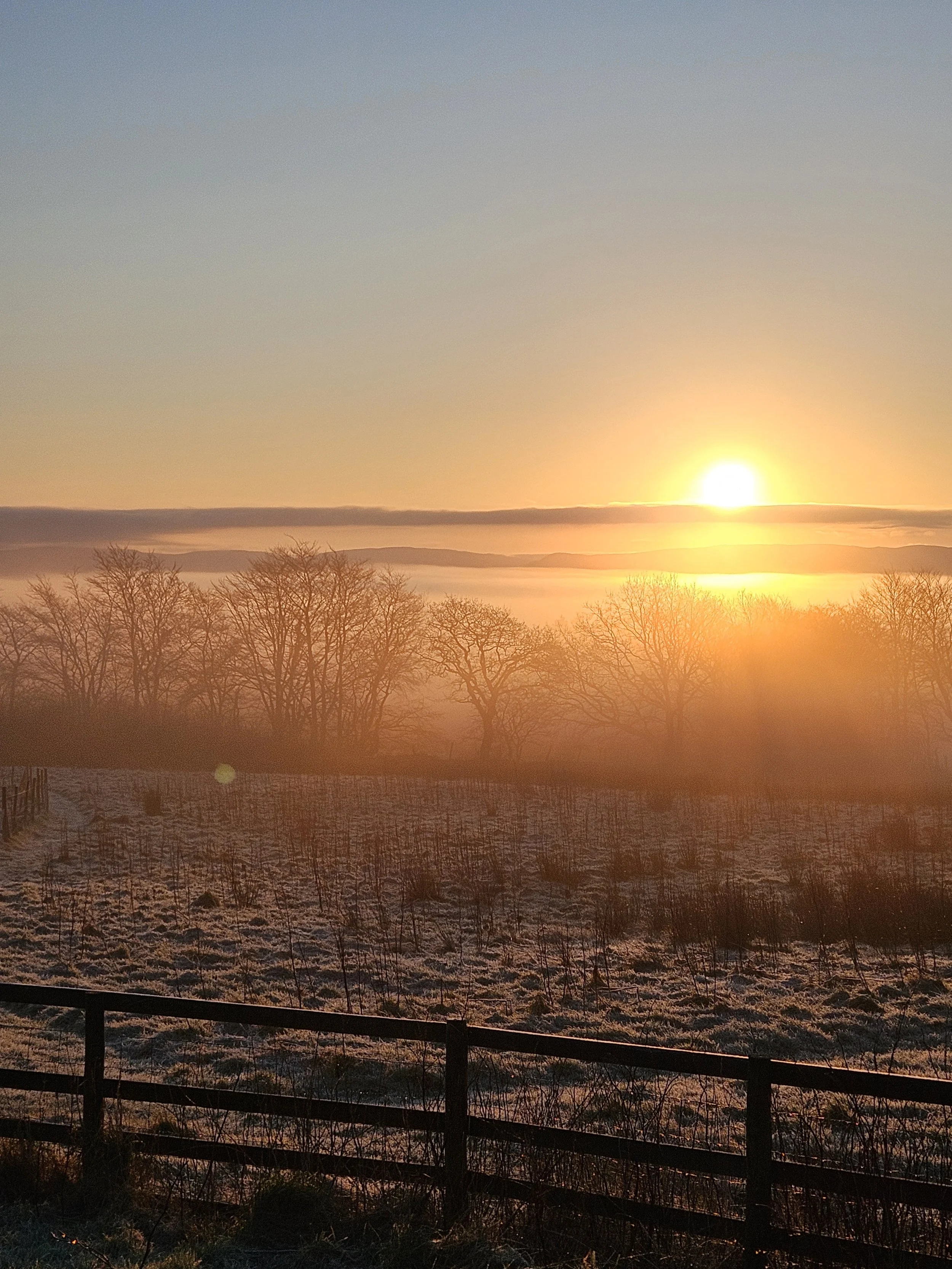 Fairyland, Wonder, and Attention: Painting Through Careful Seeing