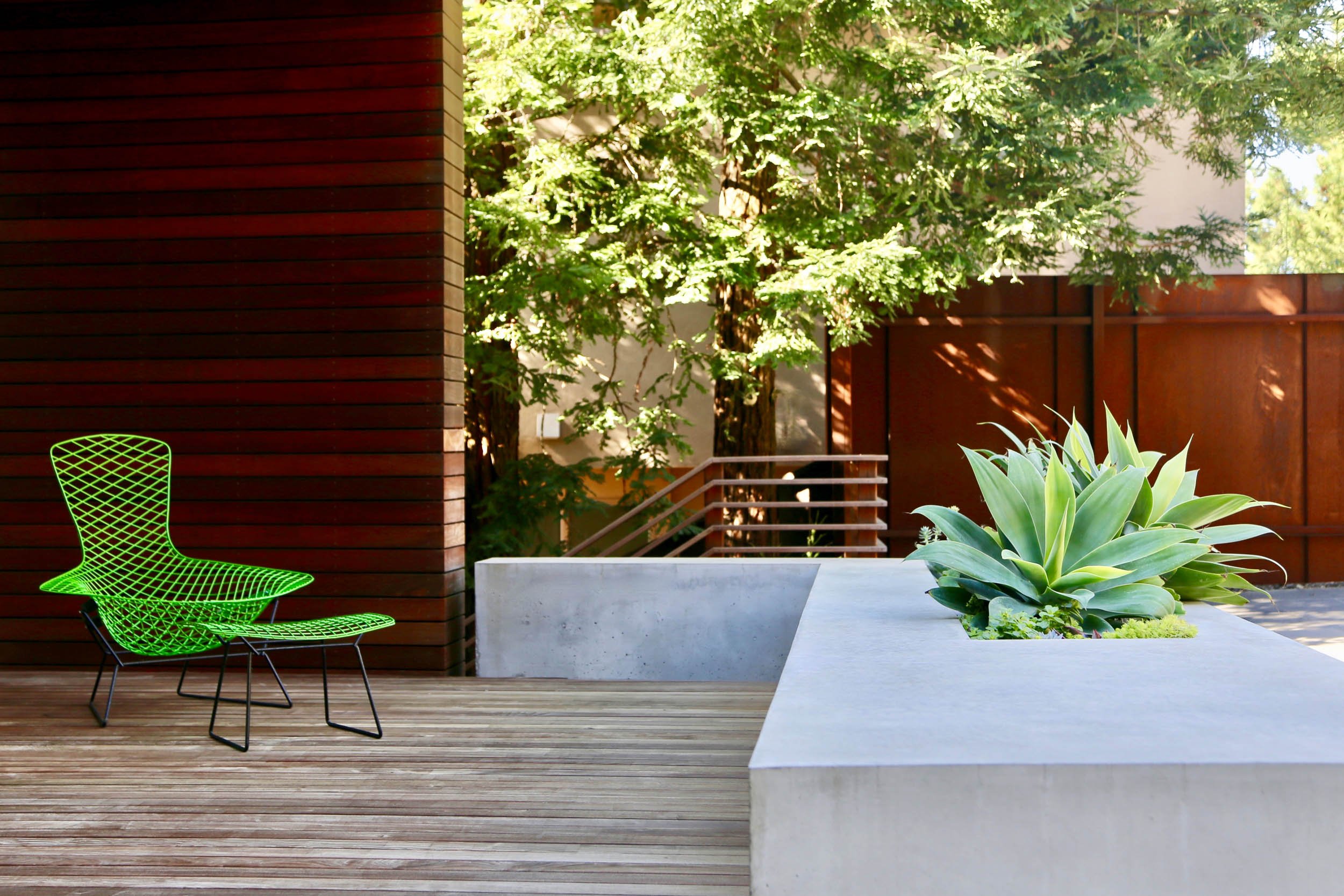 9 Concrete Agave Attenuata Hardwood Fence Porch Modern Contemporary.jpg