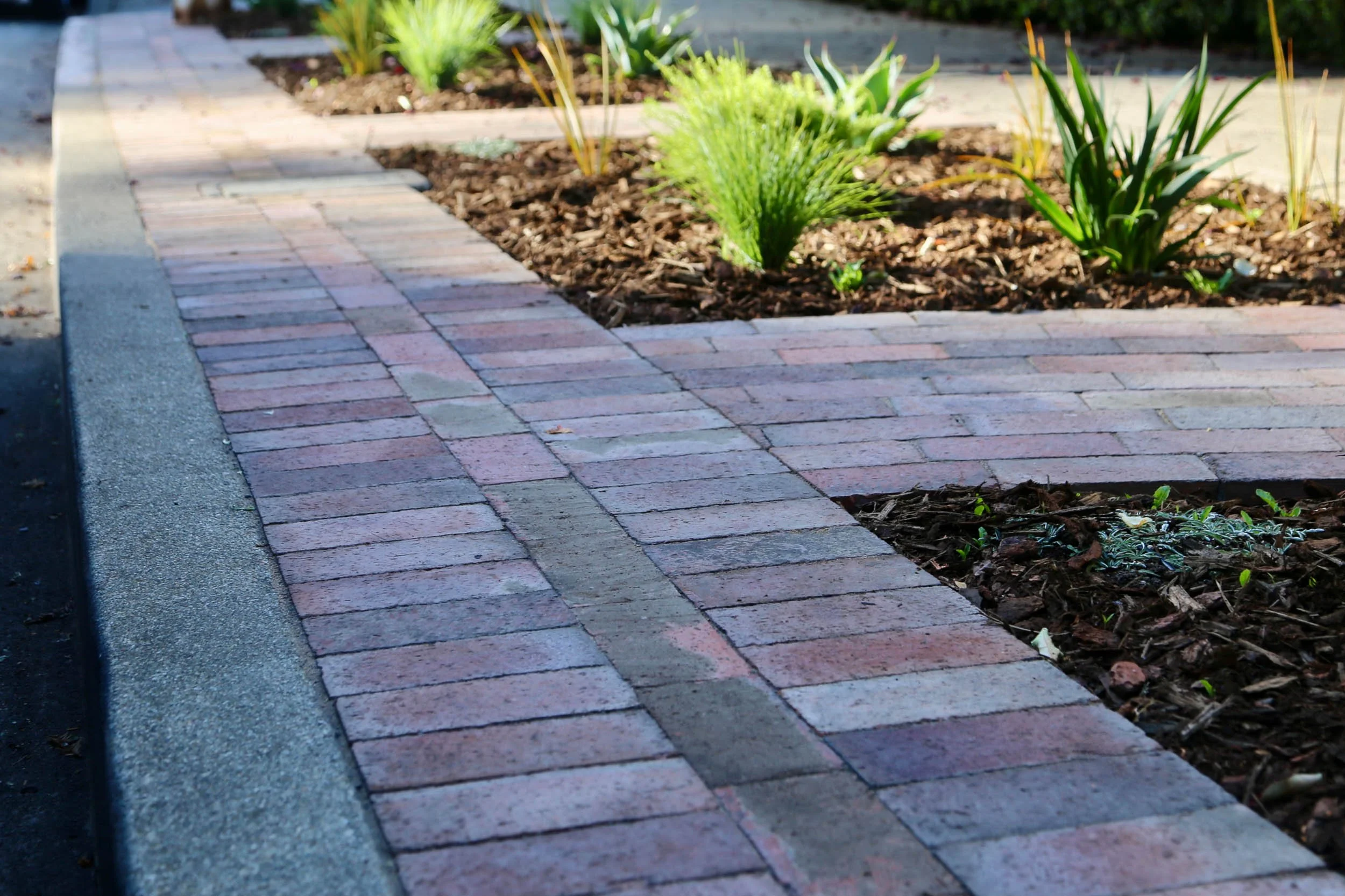 3 Sidewalk Brick Strip Residential Builder.jpg