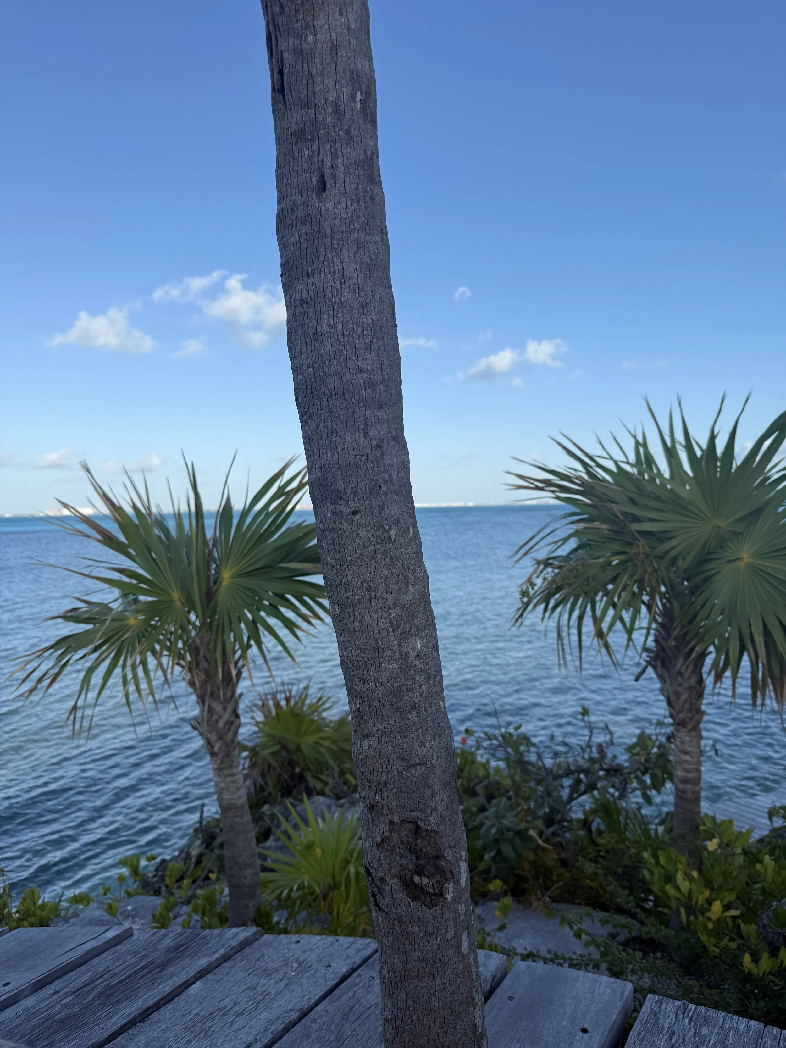 IMG_0705.jpeg