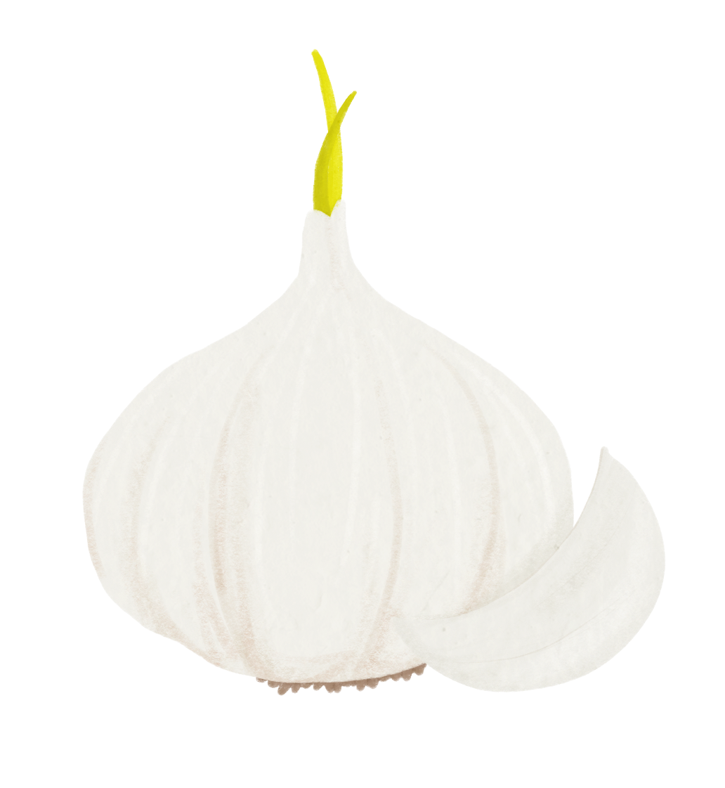Knoblauch.png