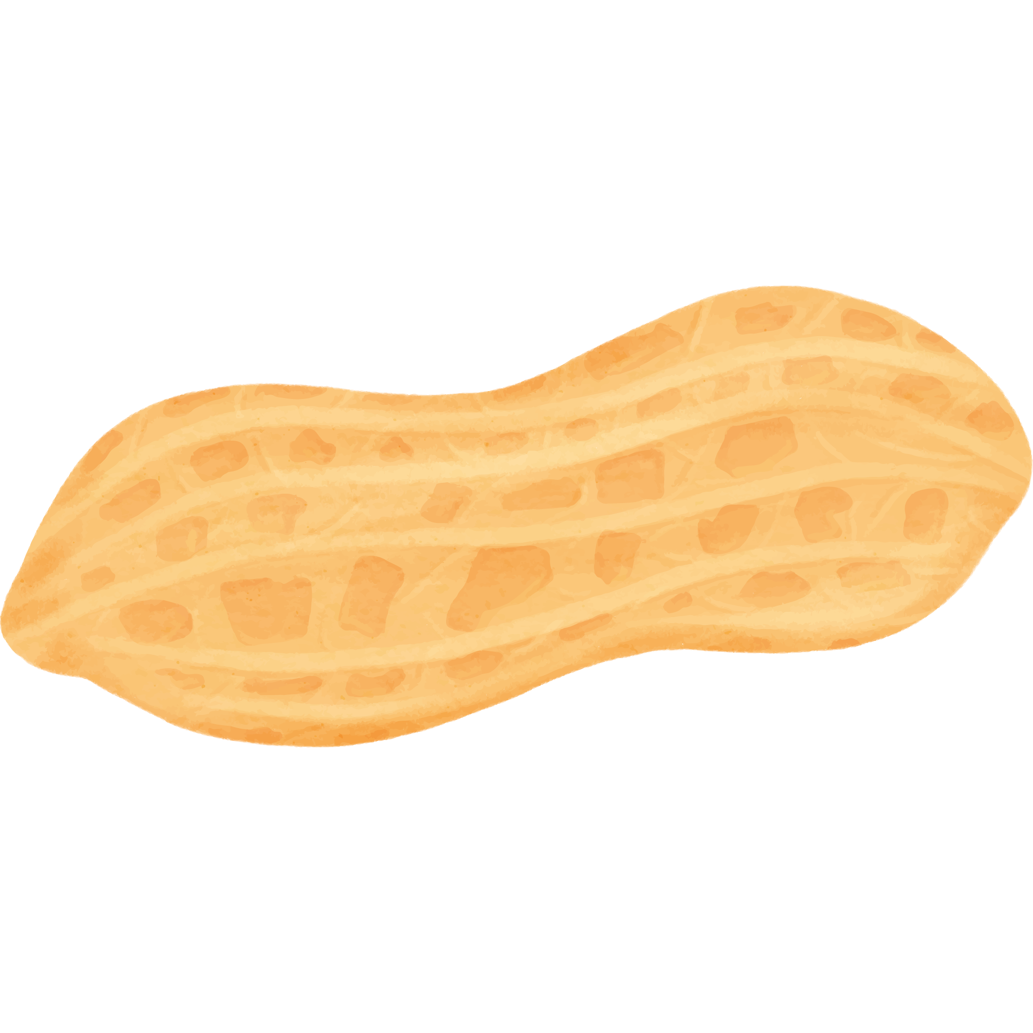 Erdnuss_970698.png